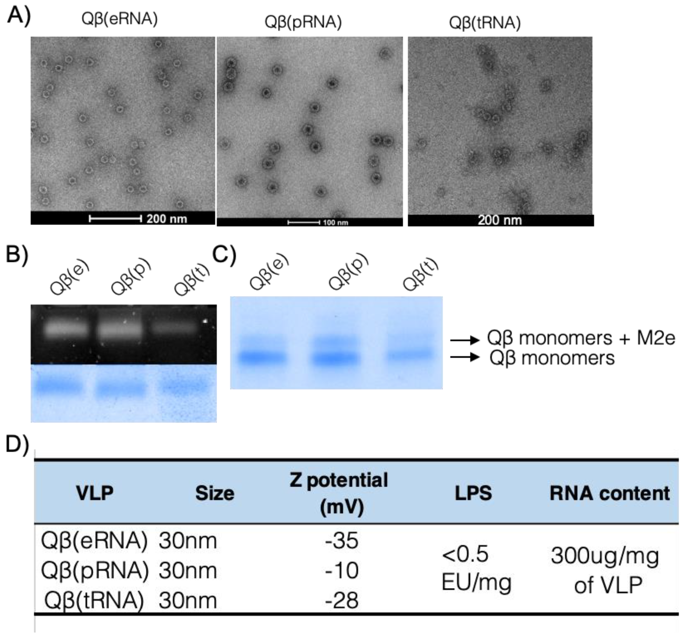 Vaccines 07 00047 g001