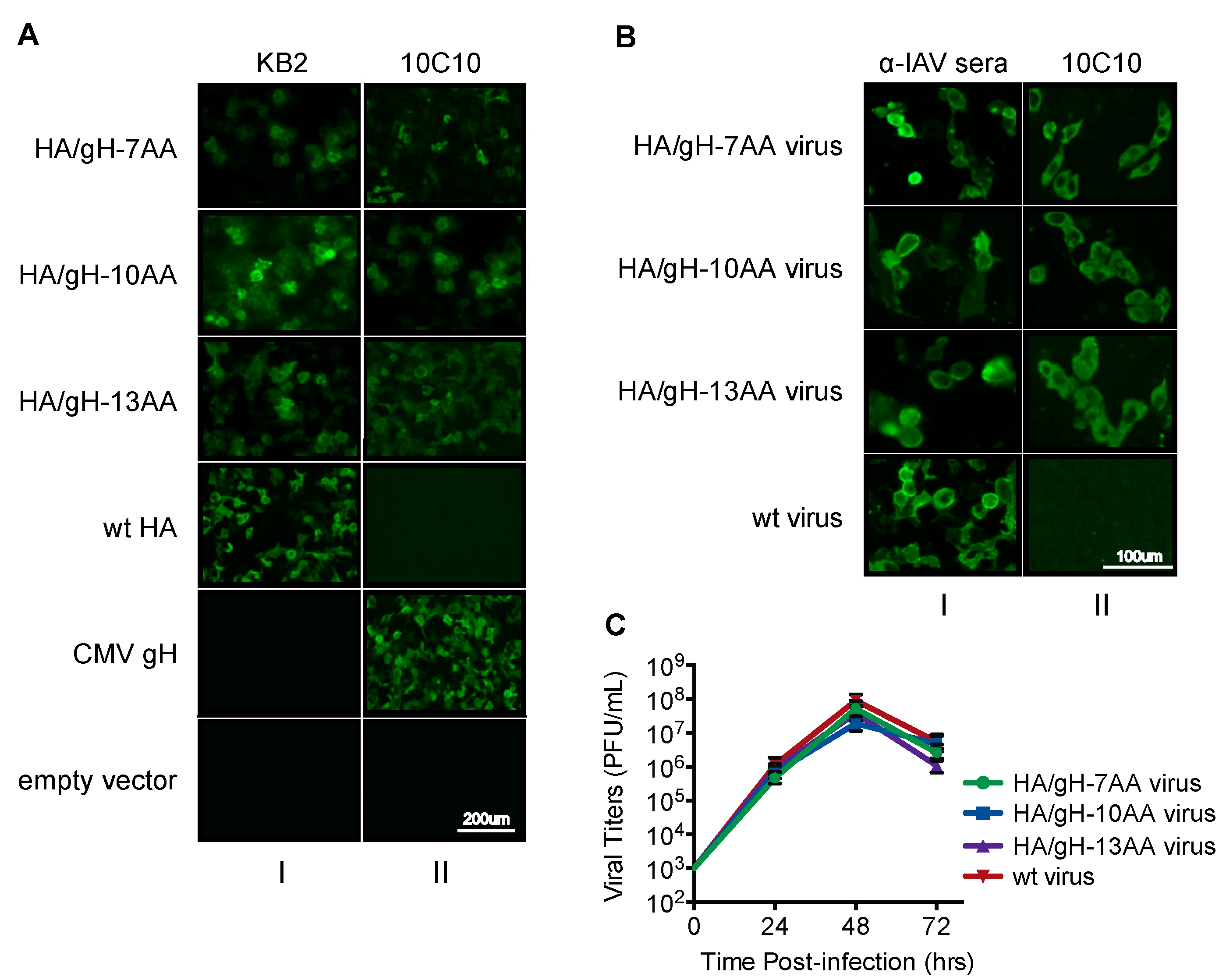 Vaccines 07 00051 g002