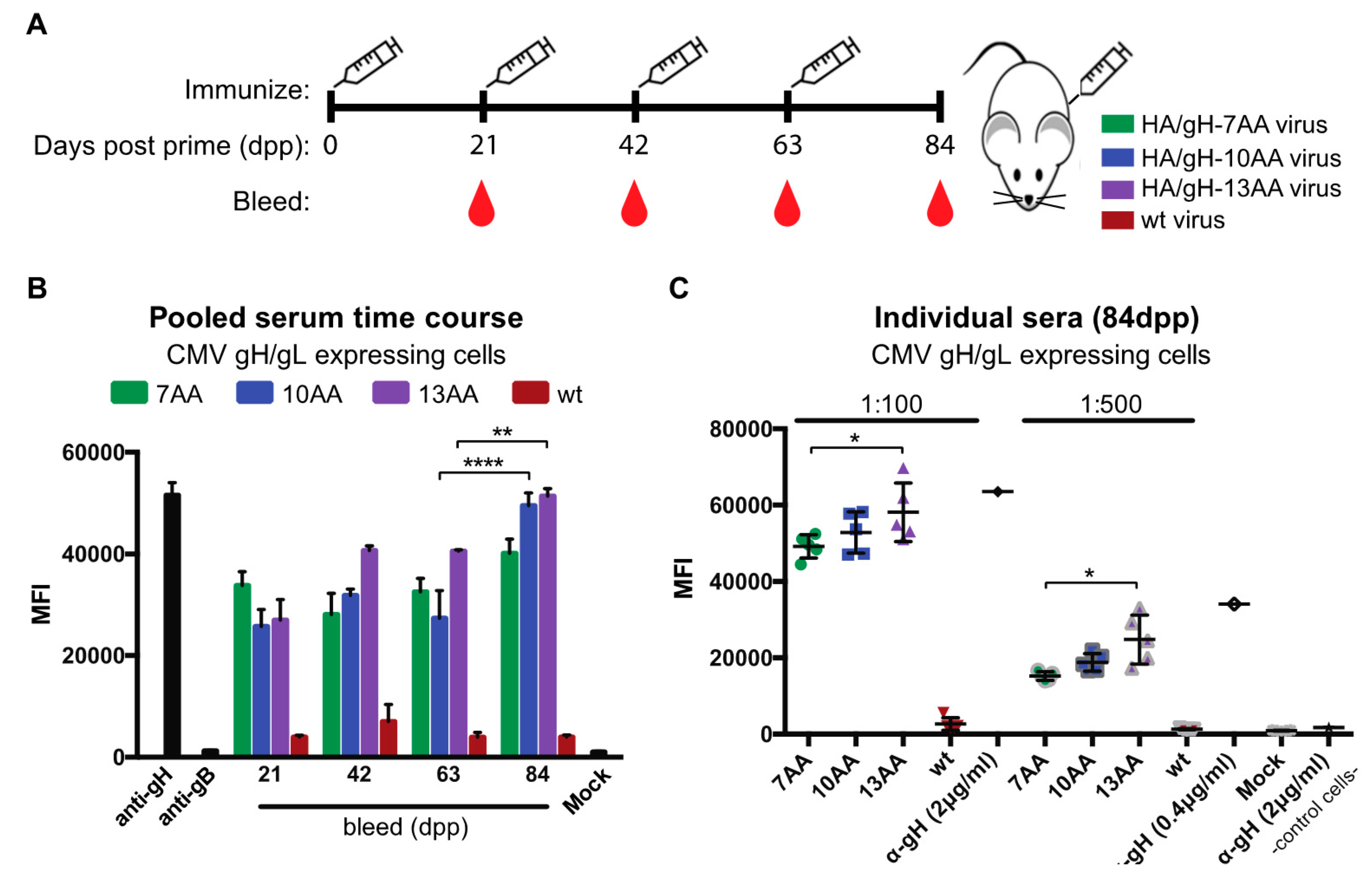 Vaccines 07 00051 g004