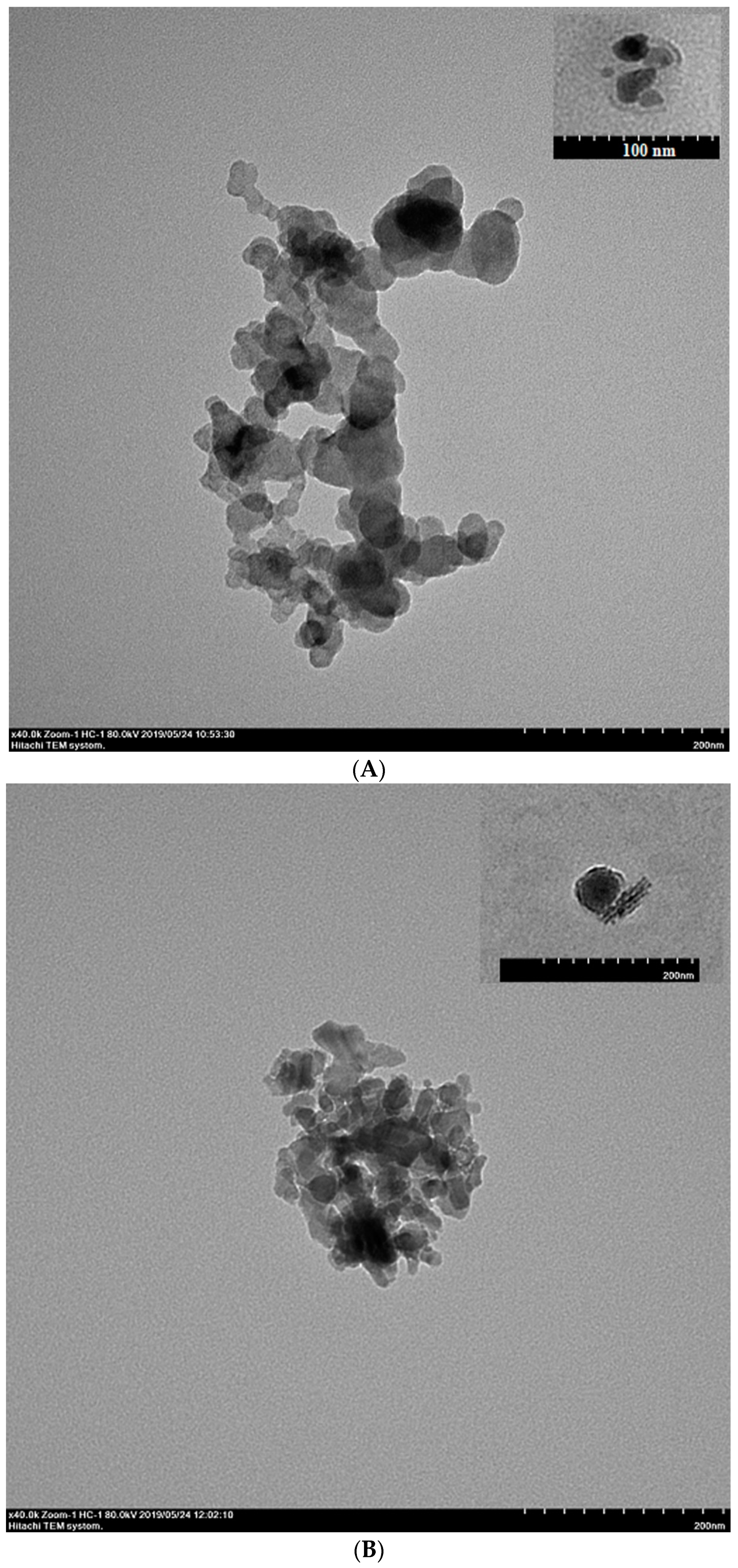 Vaccines 07 00052 g001a
