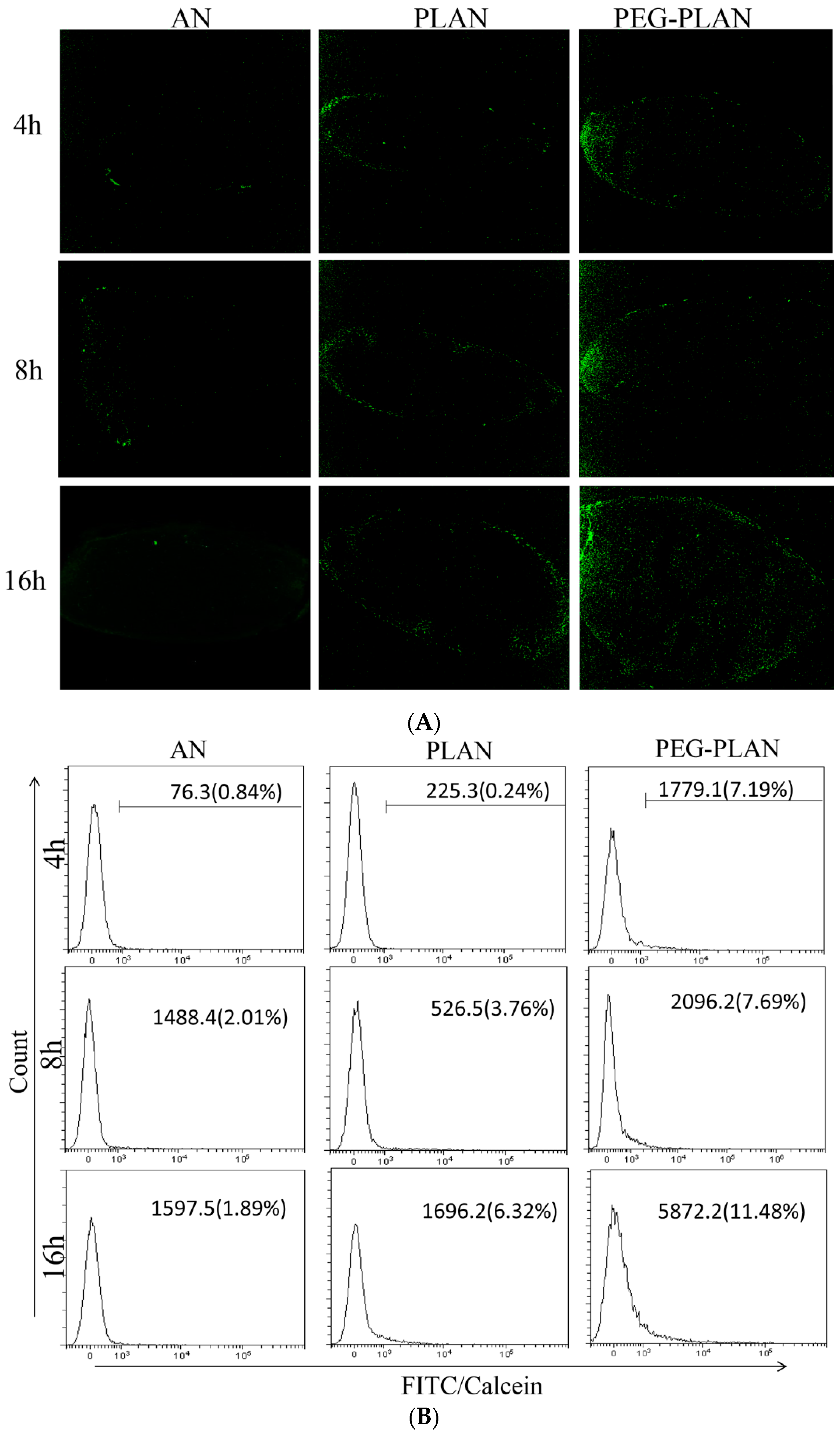Vaccines 07 00052 g004a