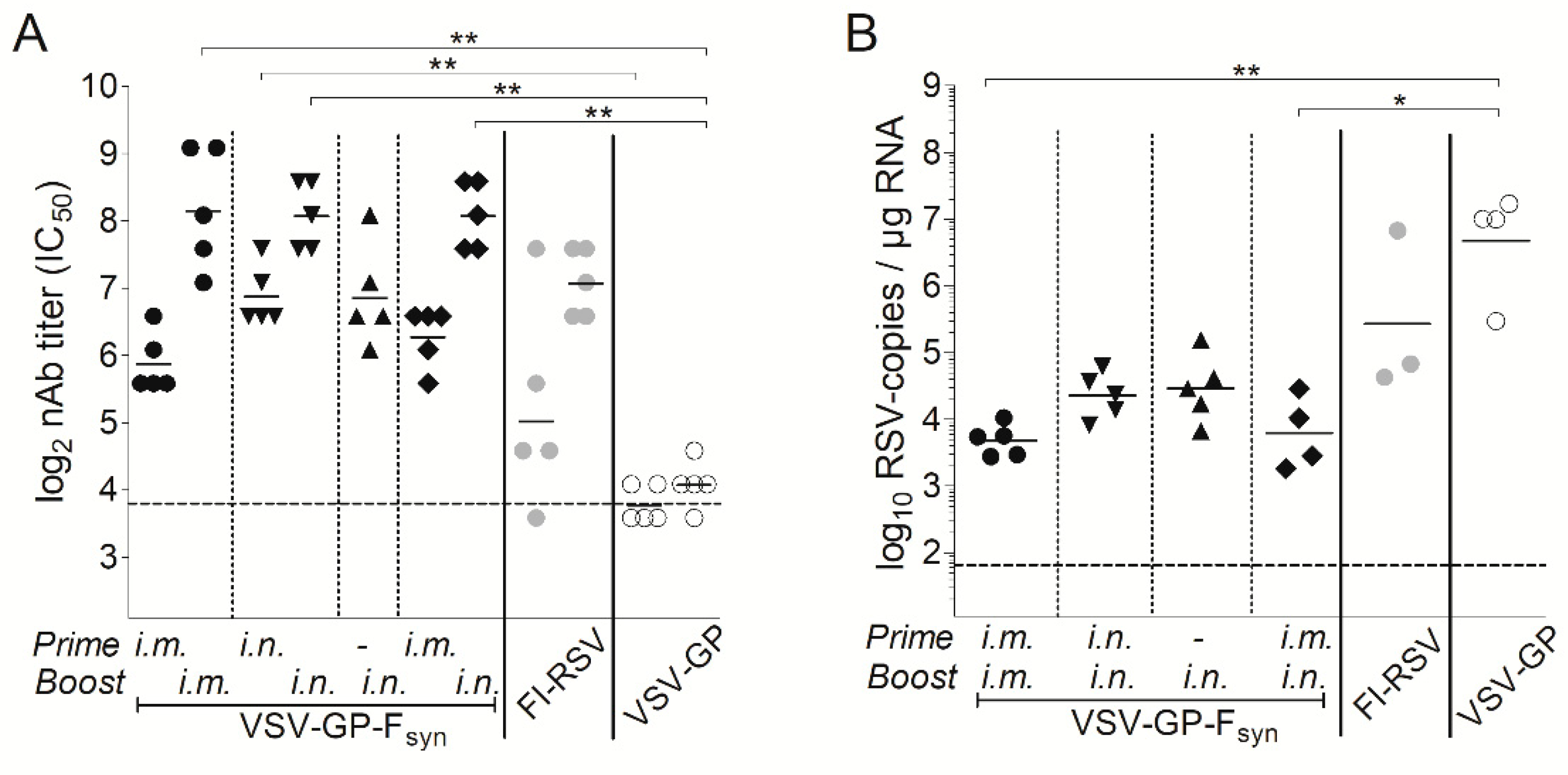 Vaccines 07 00059 g005