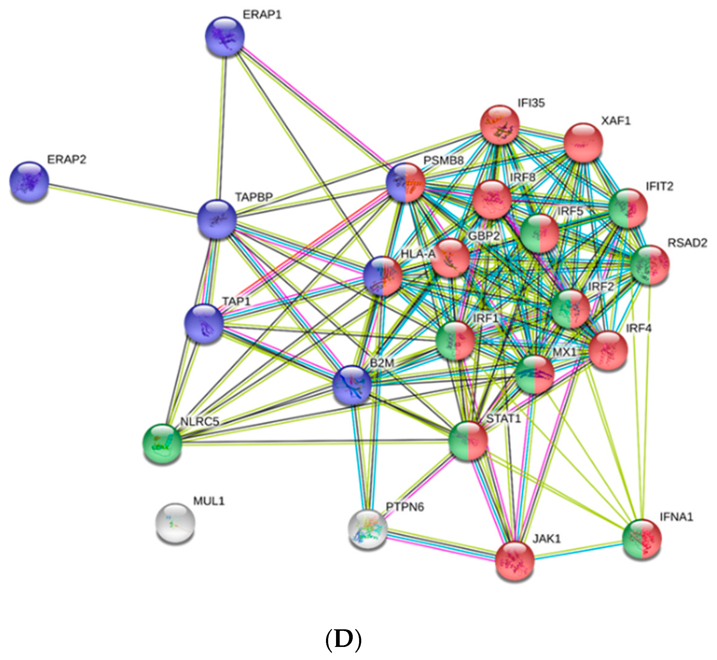 Vaccines 07 00063 g002b