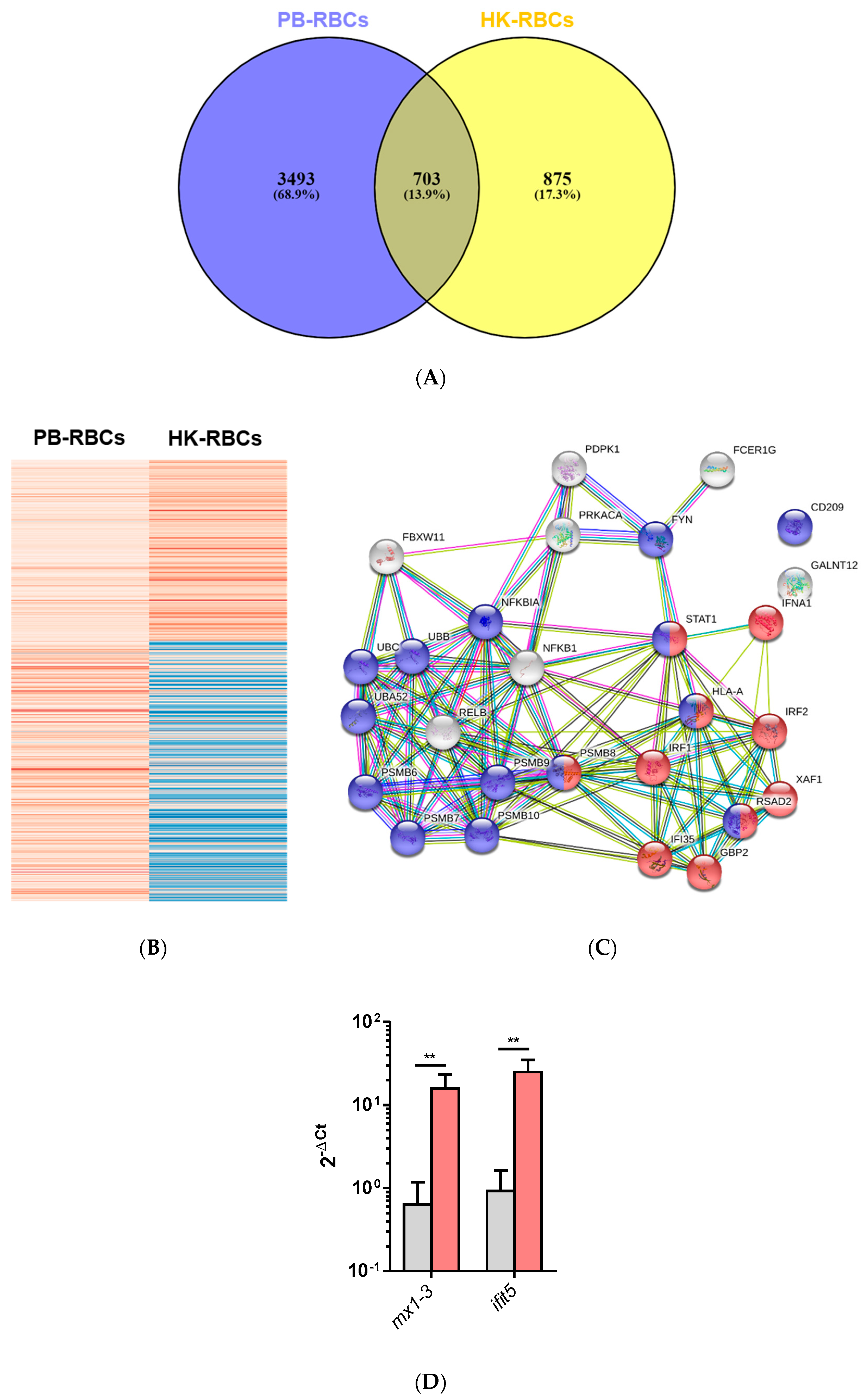 Vaccines 07 00063 g003