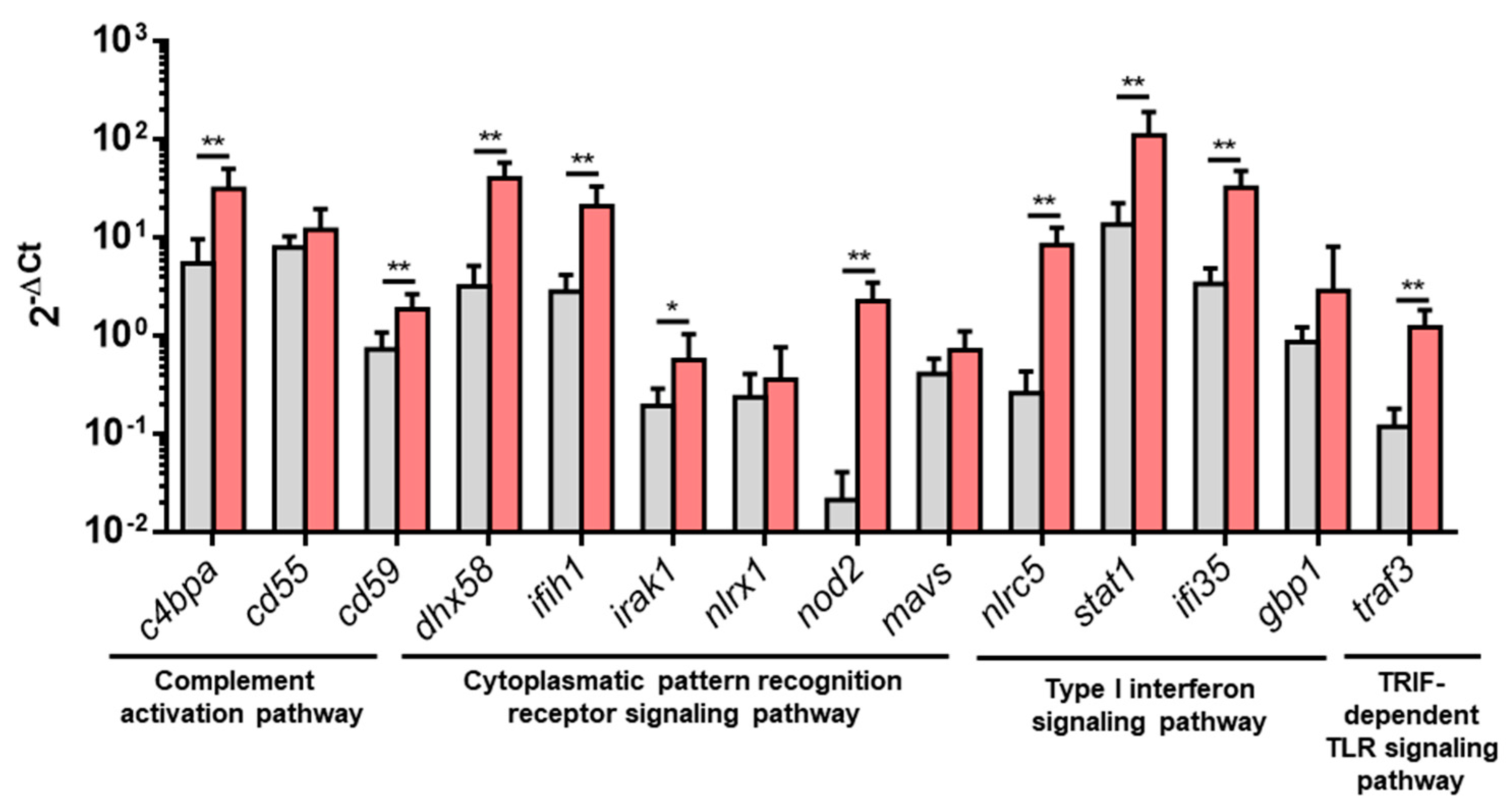 Vaccines 07 00063 g005