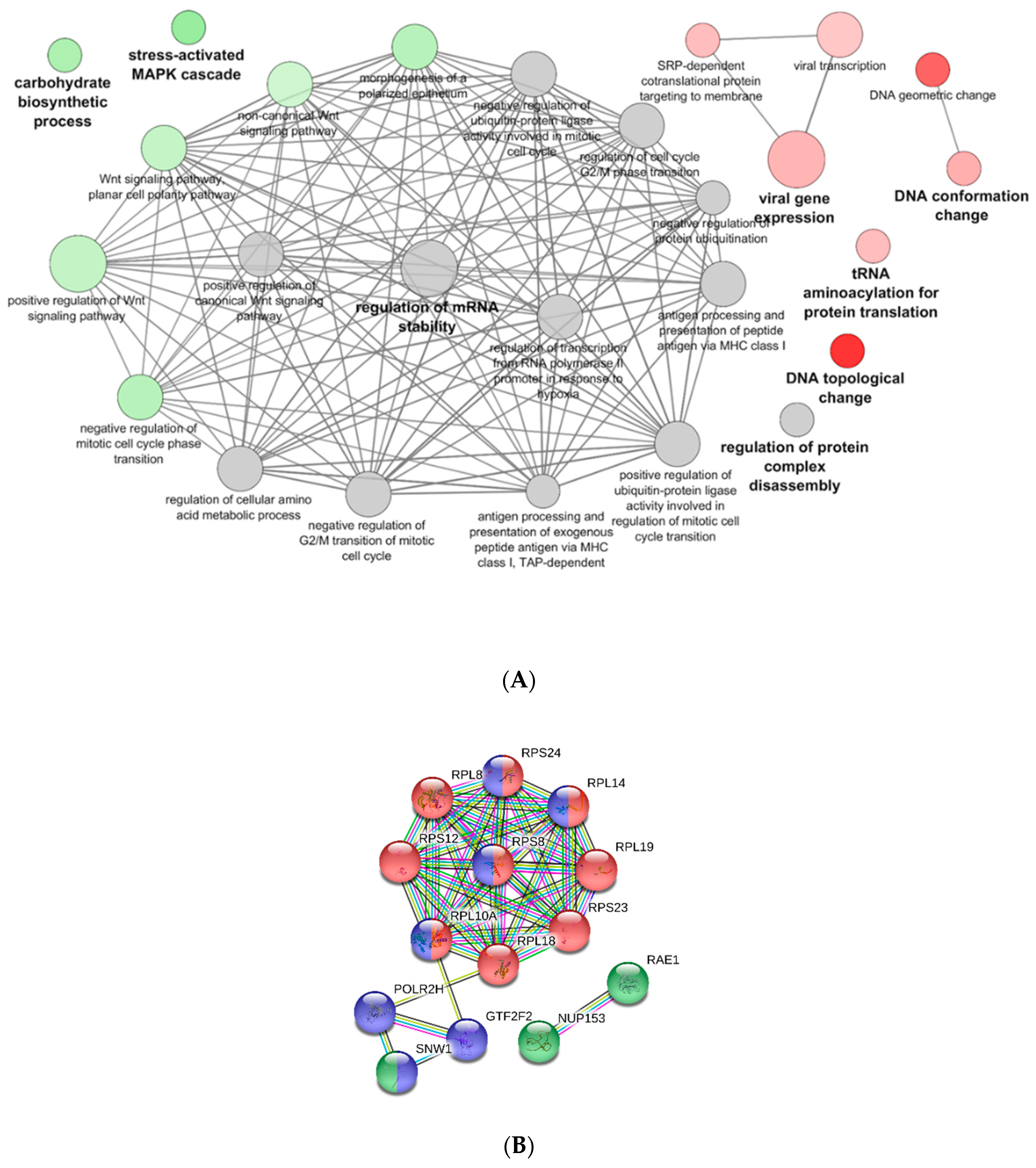 Vaccines 07 00063 g006