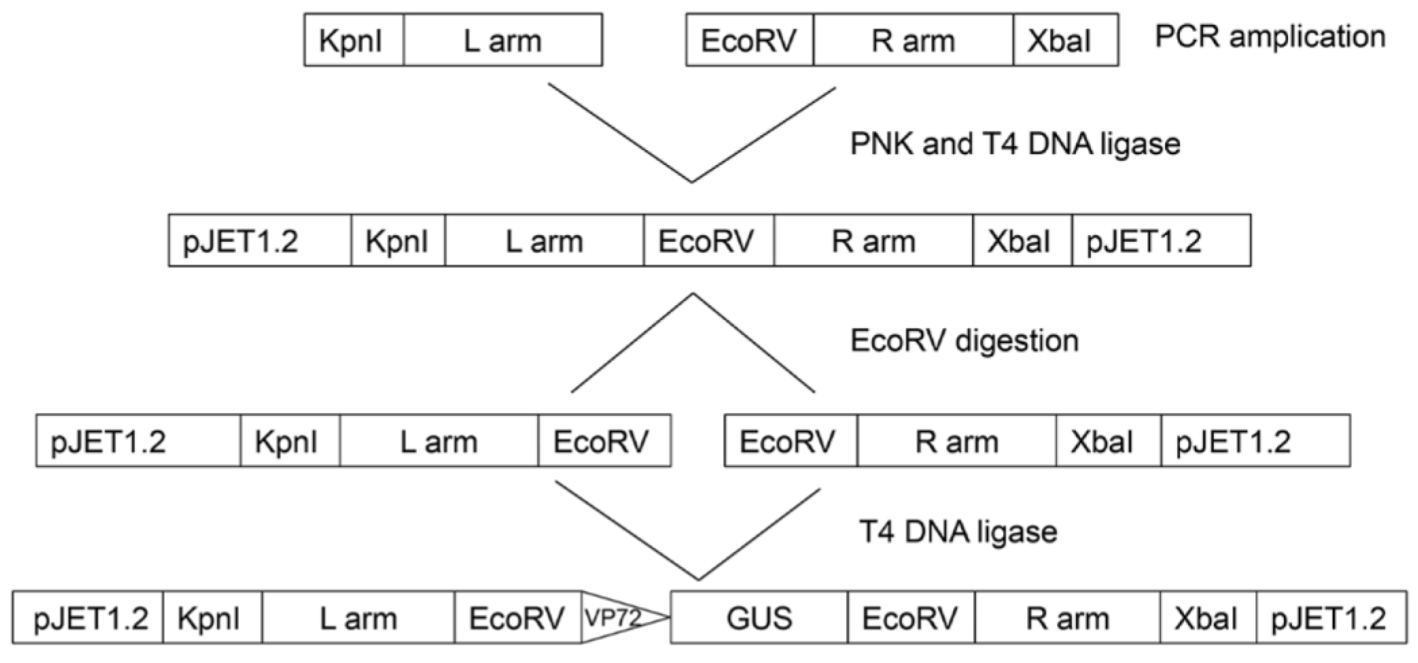 Vaccines 07 00068 g002