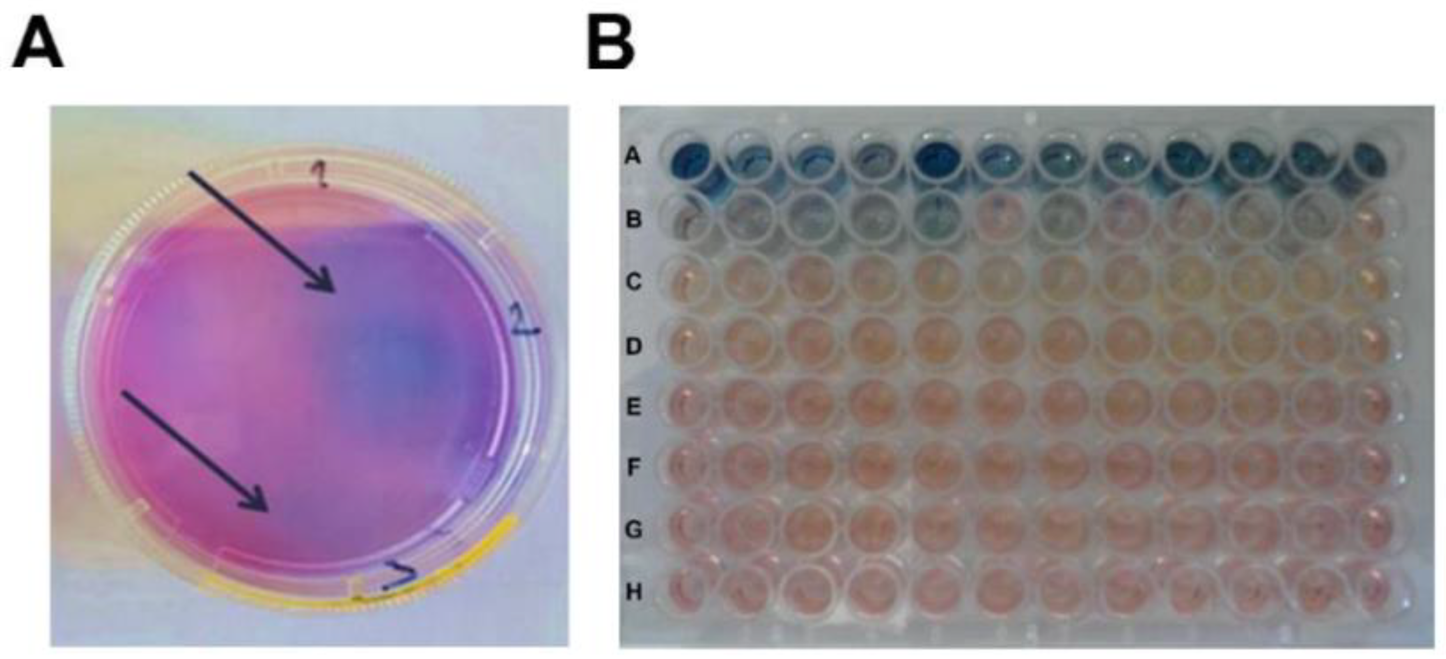 Vaccines 07 00068 g006