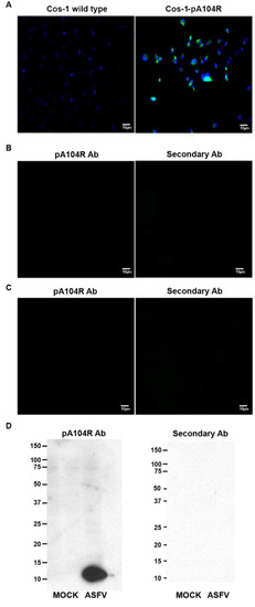 Vaccines 07 00068 g0a1