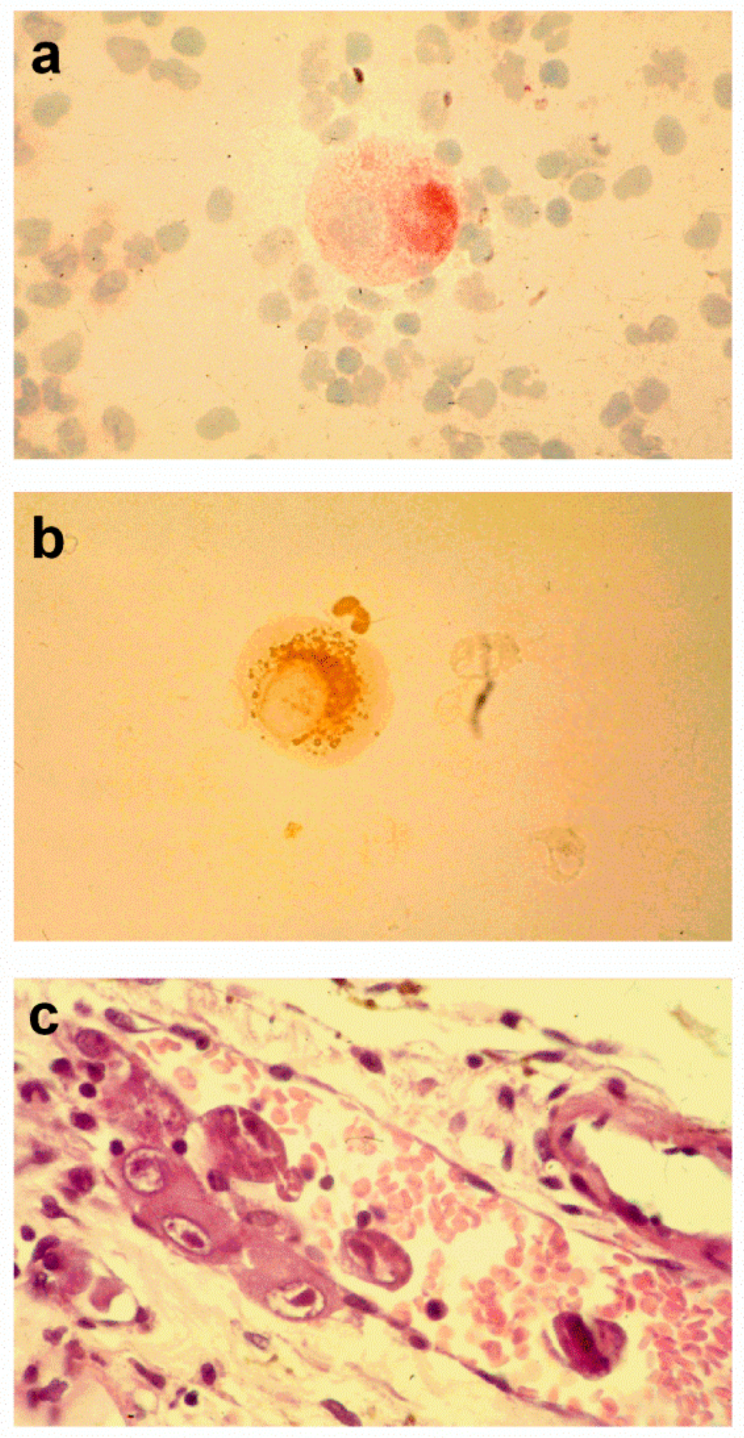 Vaccines 07 00070 g001