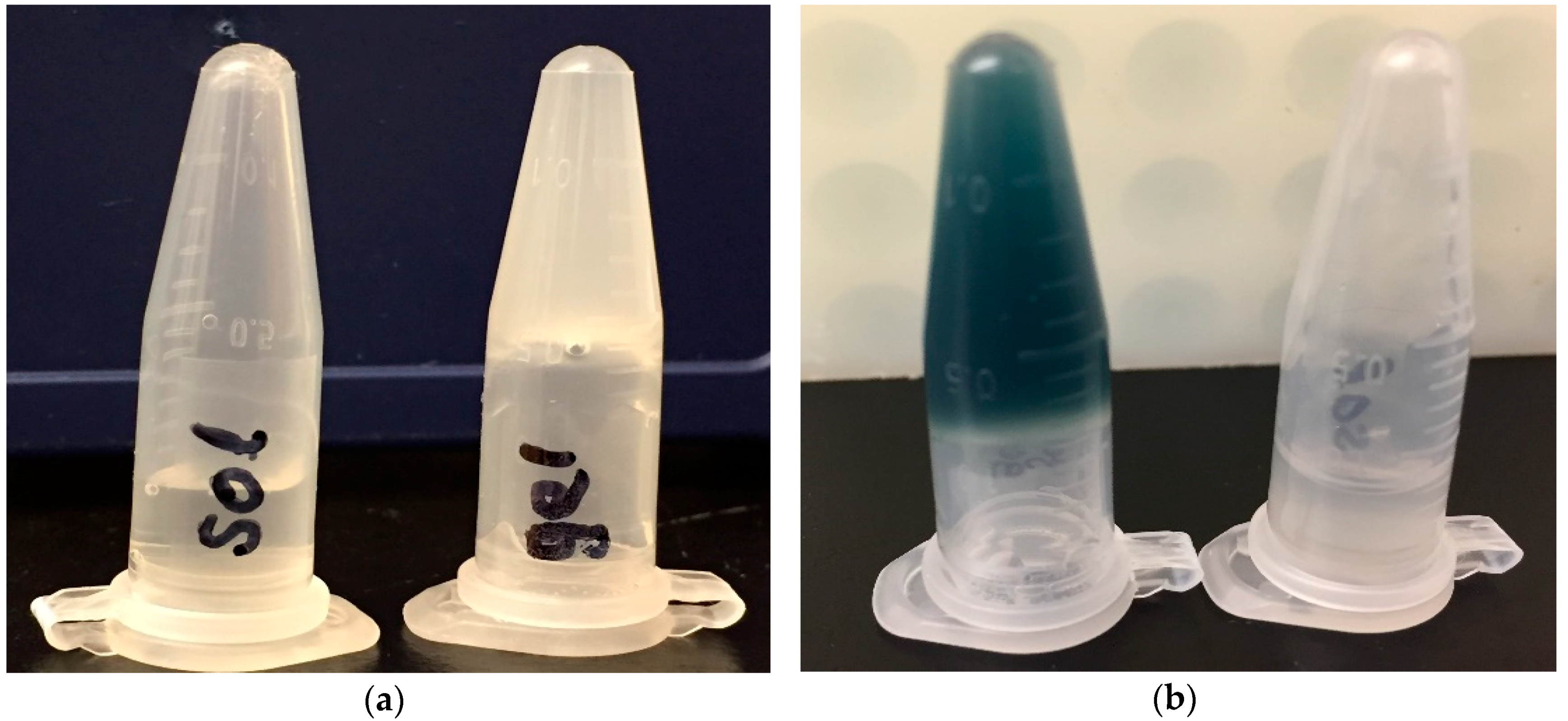 Vaccines 07 00073 g001