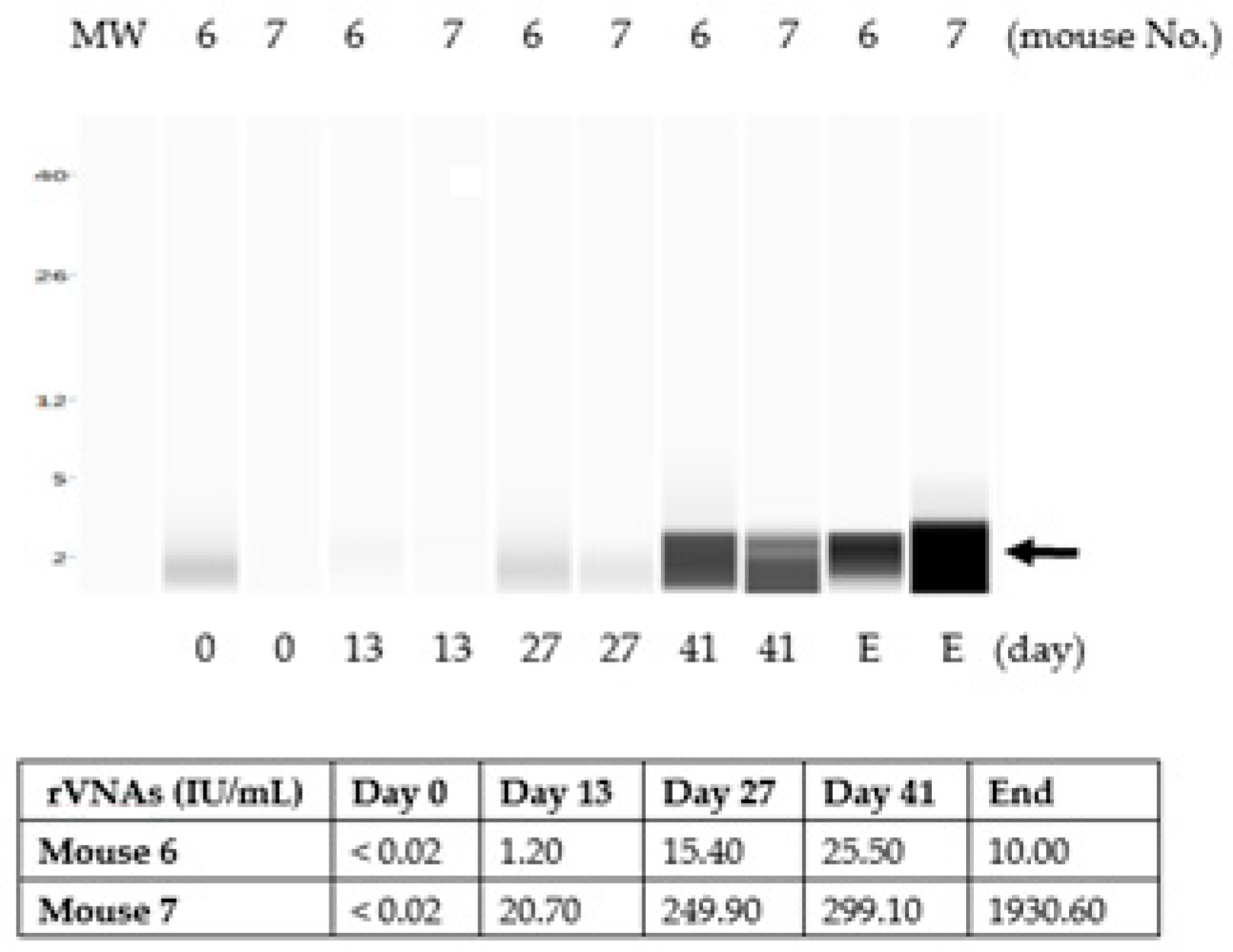Vaccines 07 00073 g004