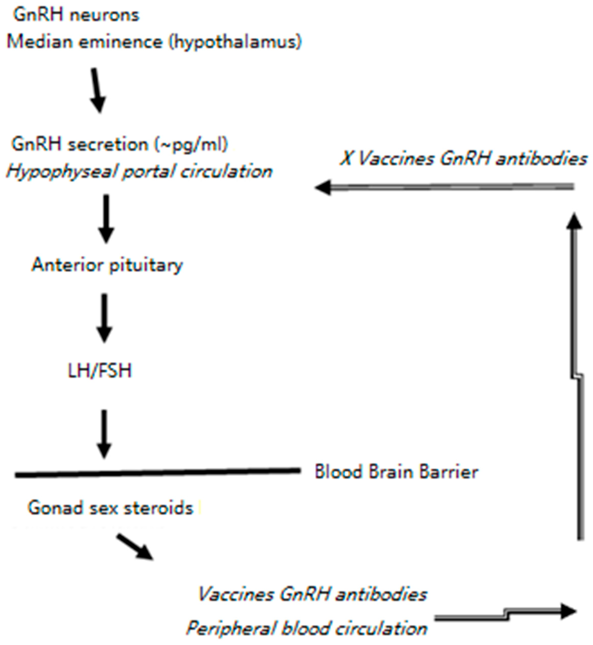 Vaccines 07 00073 g005