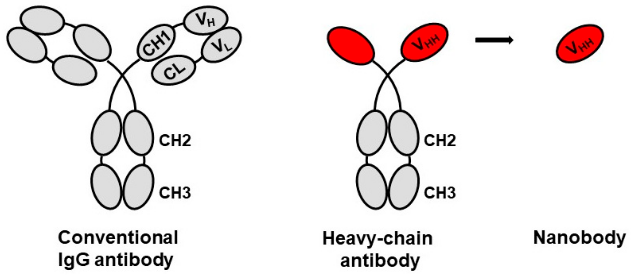 Vaccines 07 00077 g001