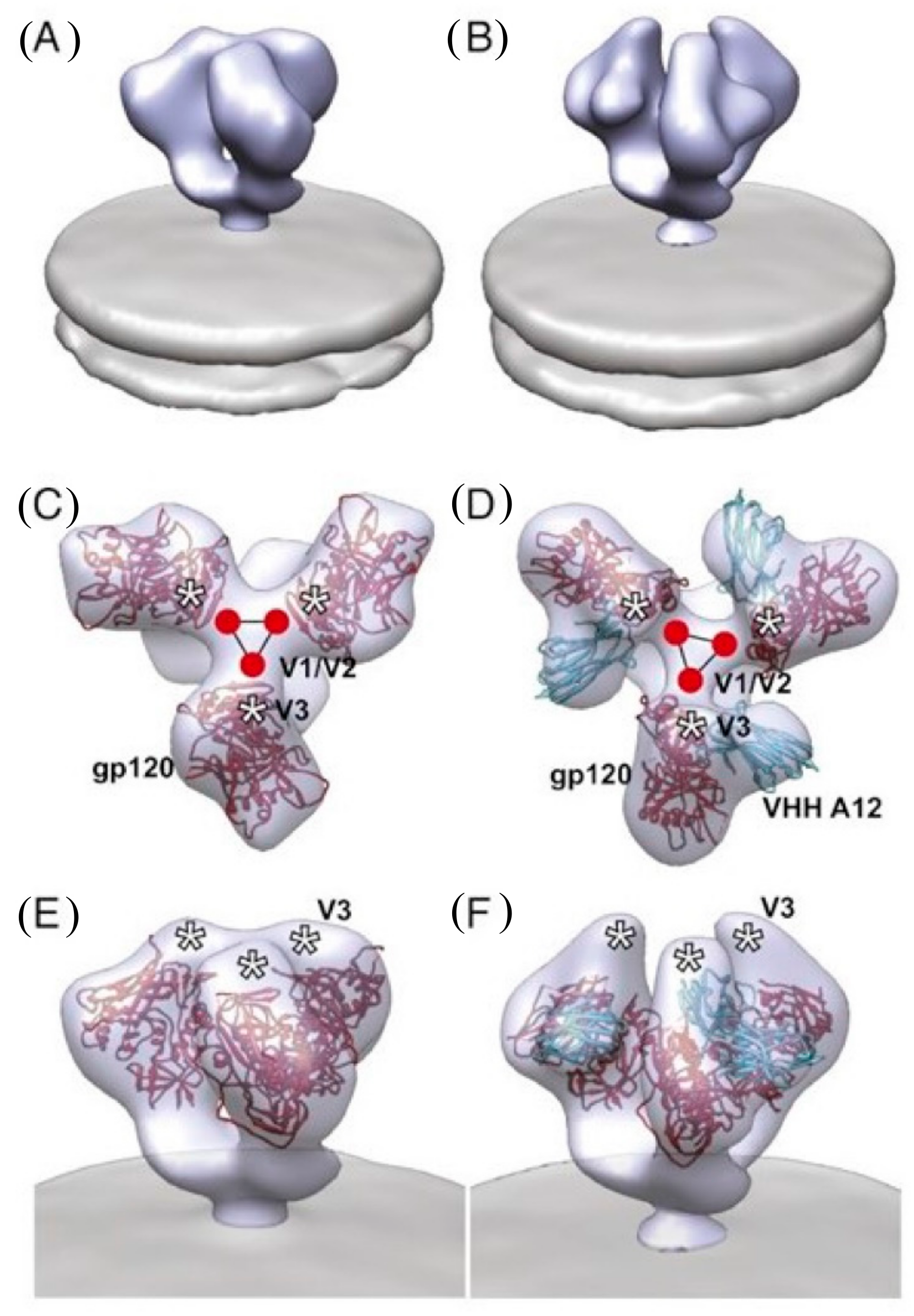 Vaccines 07 00077 g005