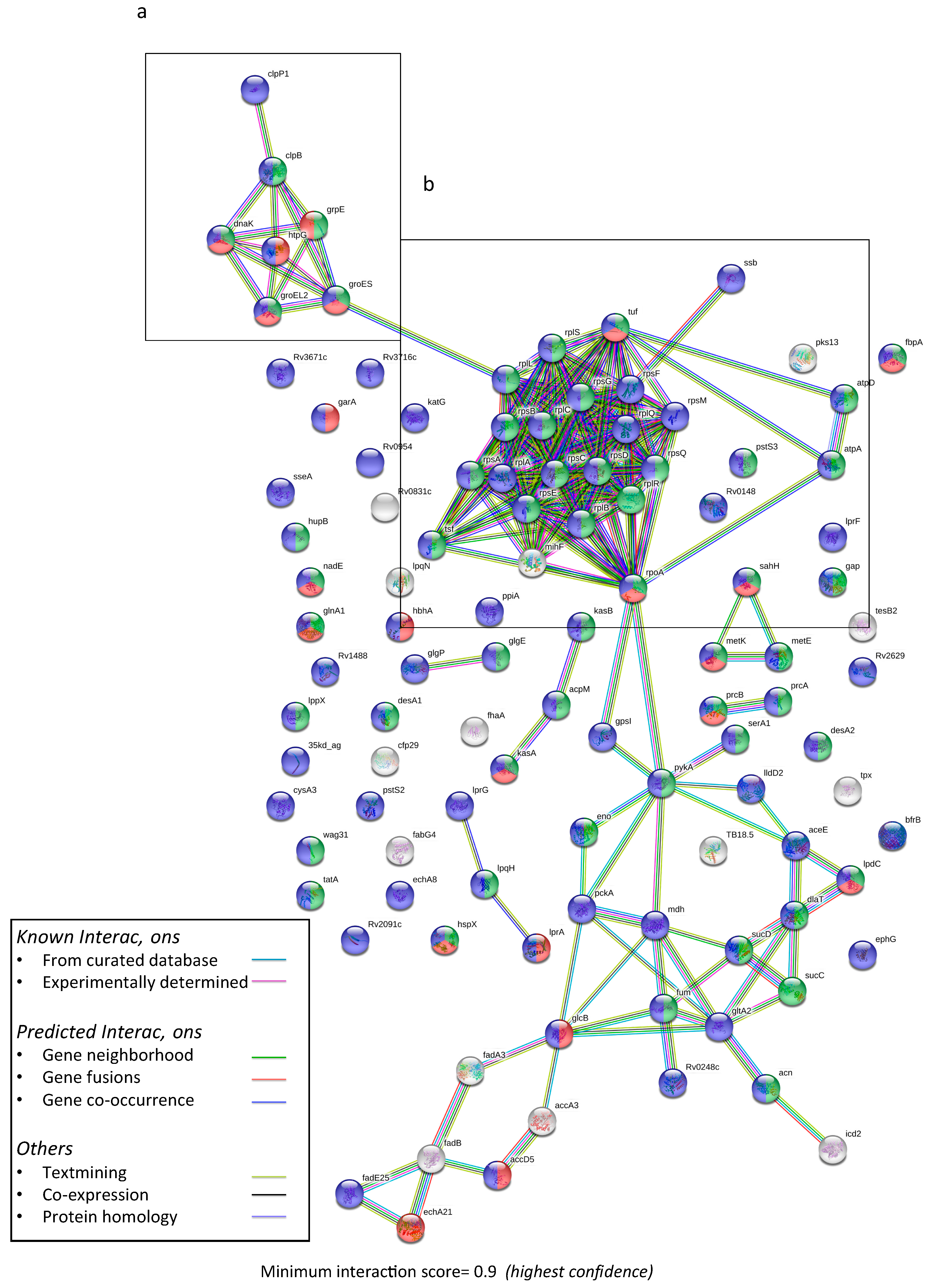 Vaccines 07 00080 g002