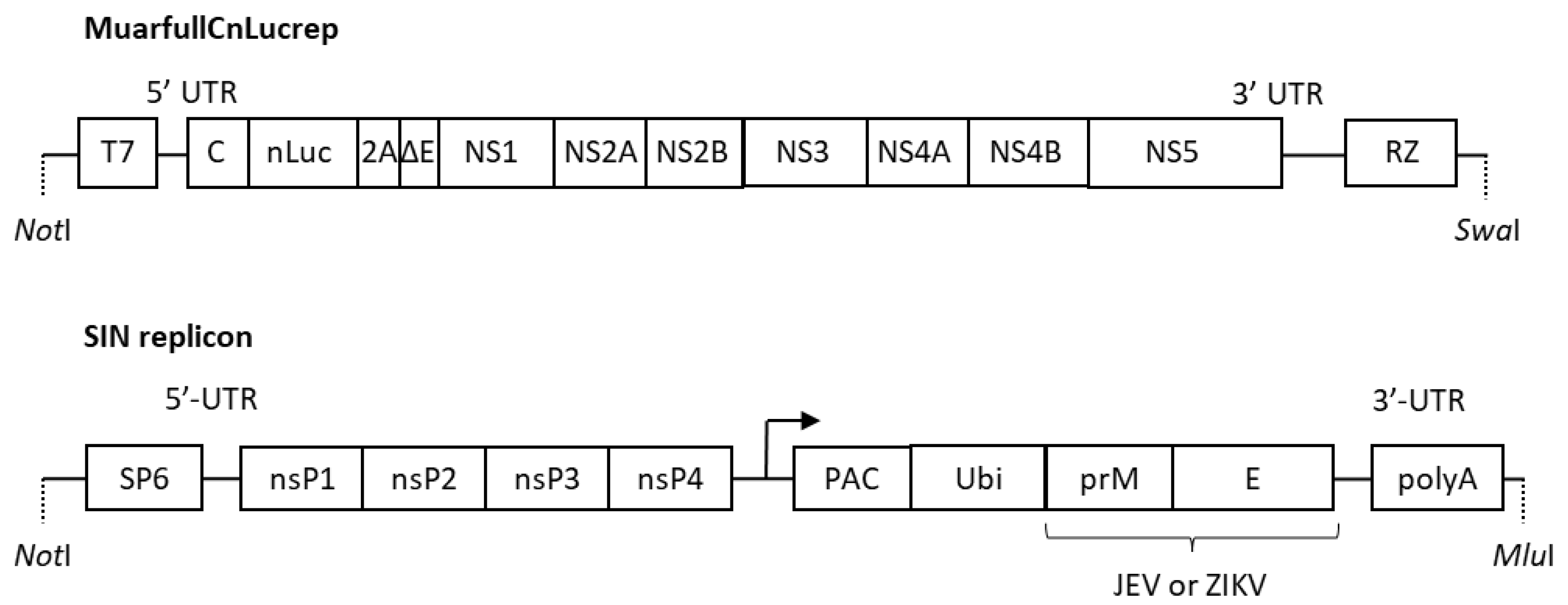 Vaccines 07 00081 g001 Vaccines 07 00081 g001