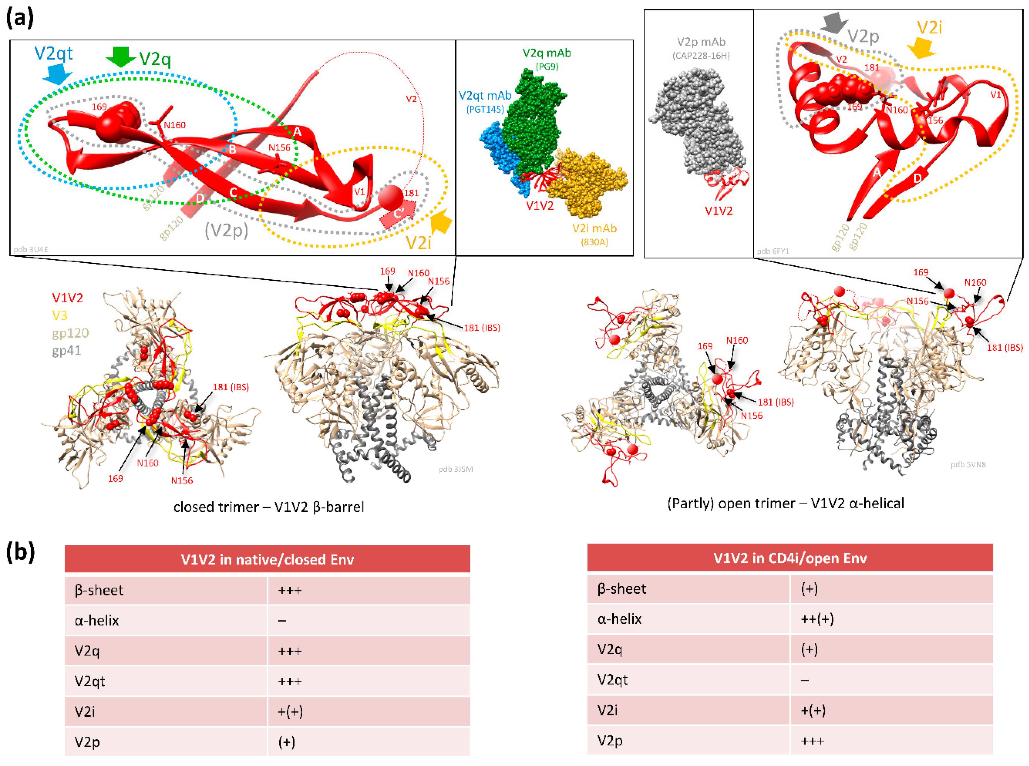 Vaccines 07 00082 g003