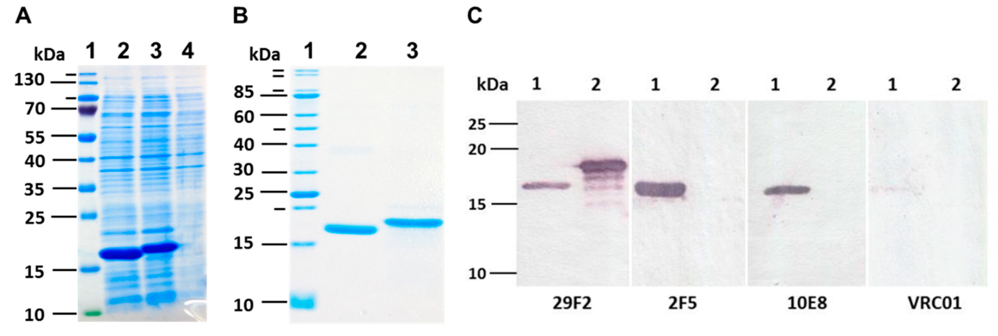 Vaccines 07 00083 g003 Vaccines 07 00083 g003