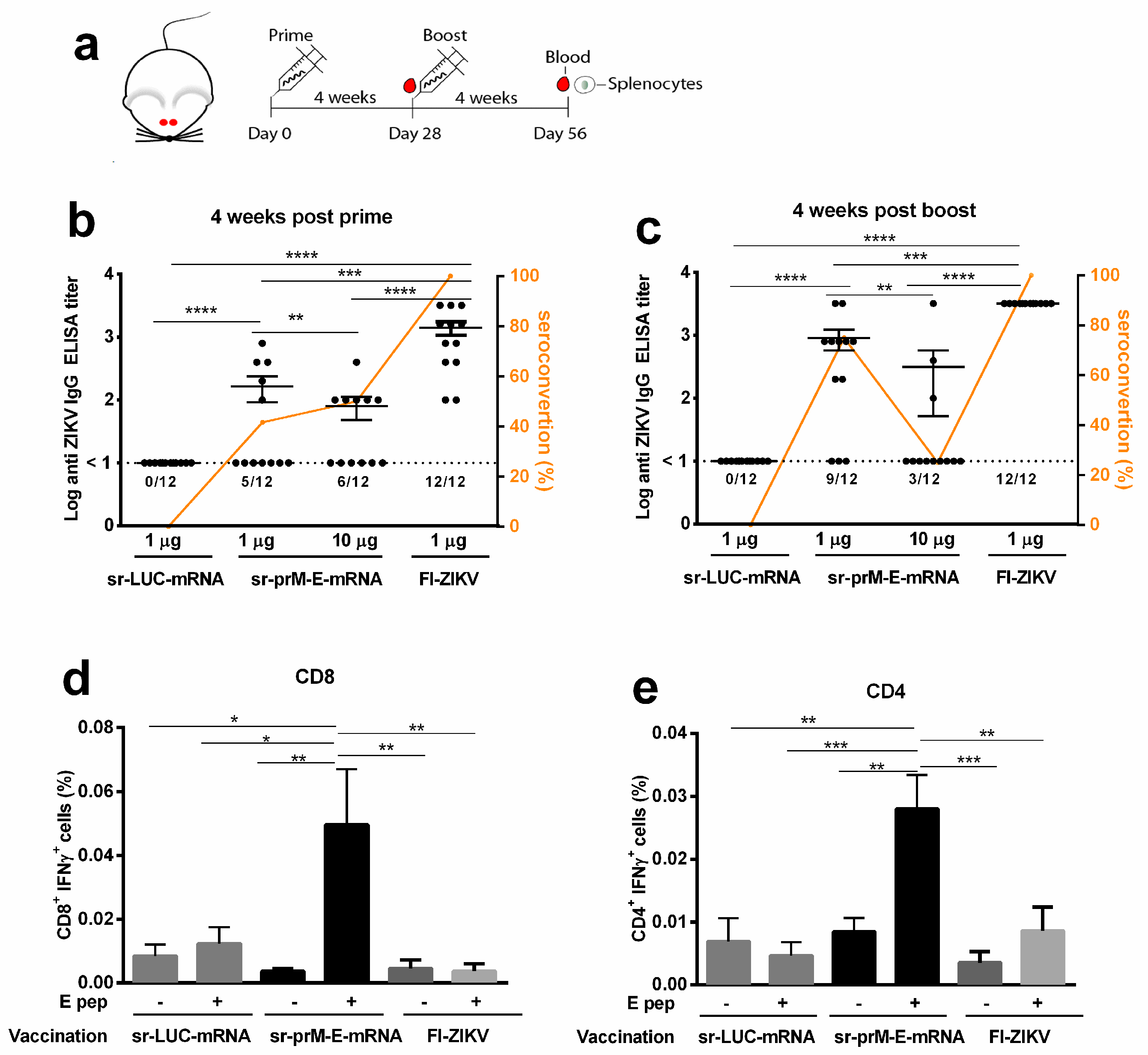 Vaccines 07 00096 g002