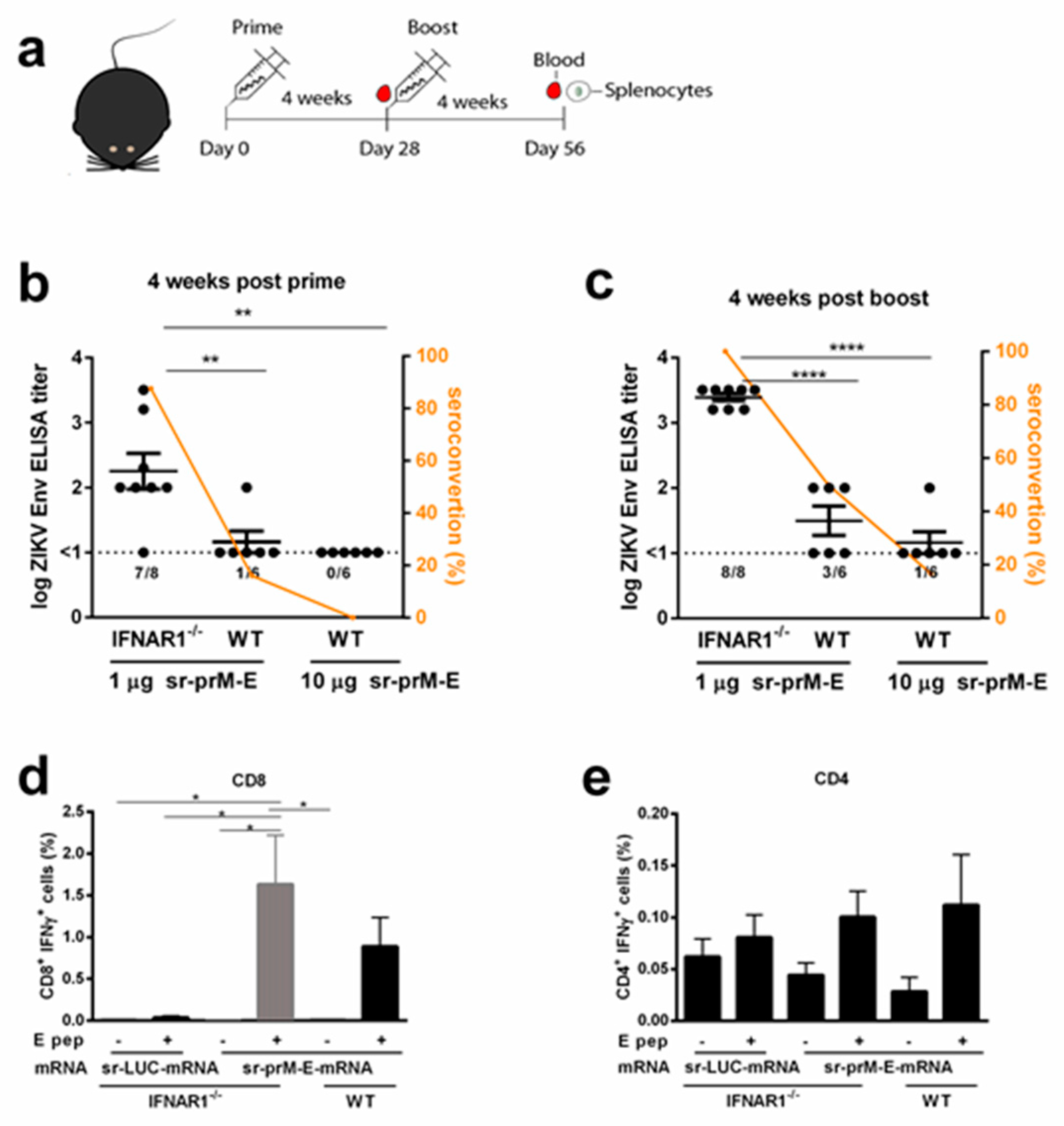 Vaccines 07 00096 g003