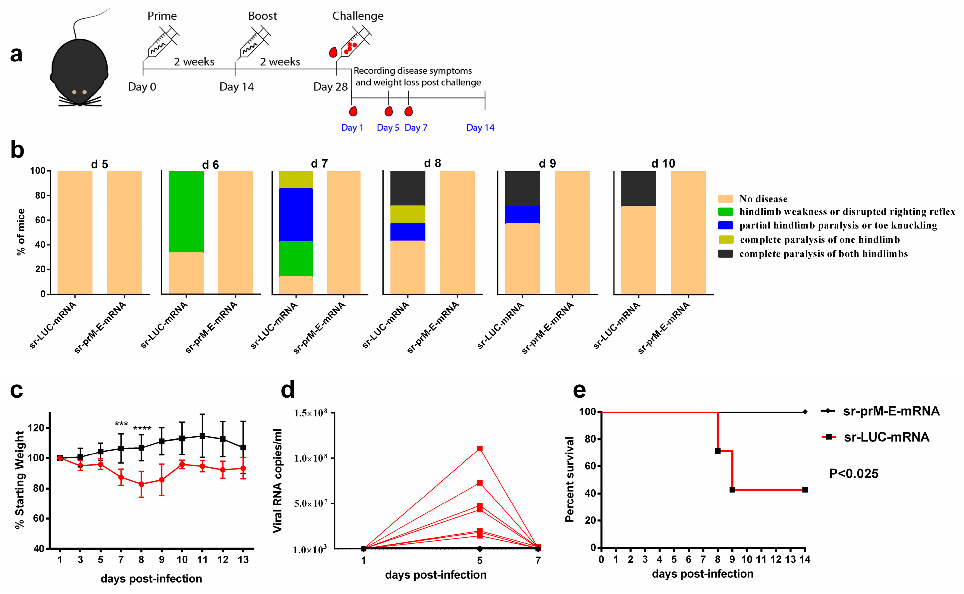 Vaccines 07 00096 g006