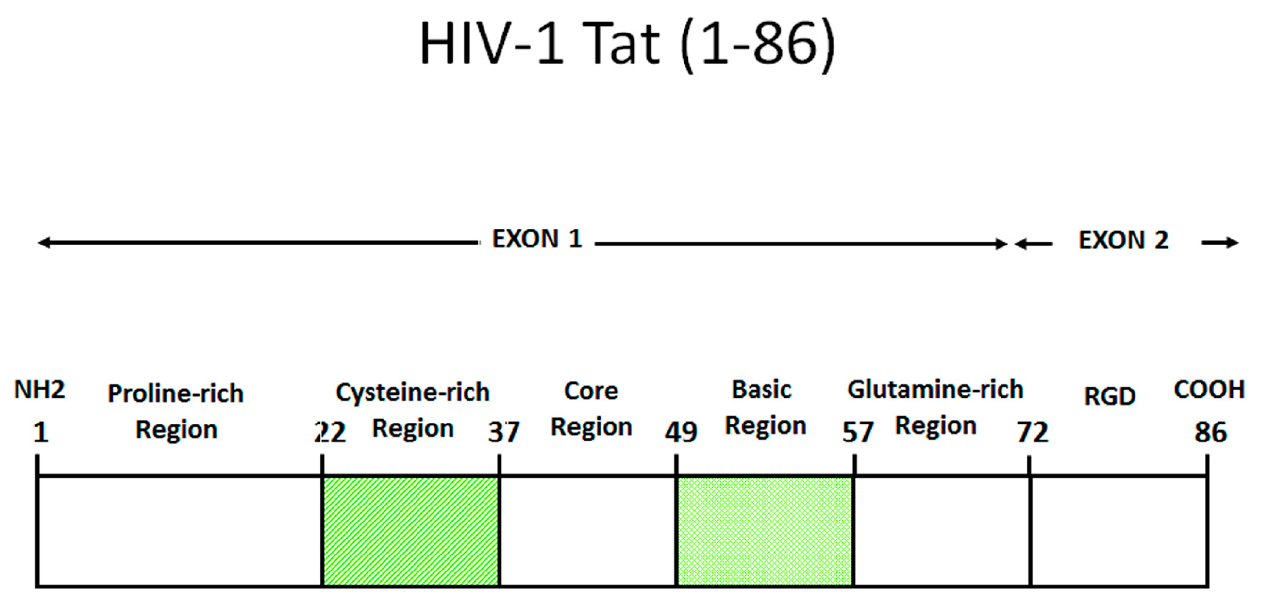 Vaccines 07 00099 g001 Vaccines 07 00099 g001
