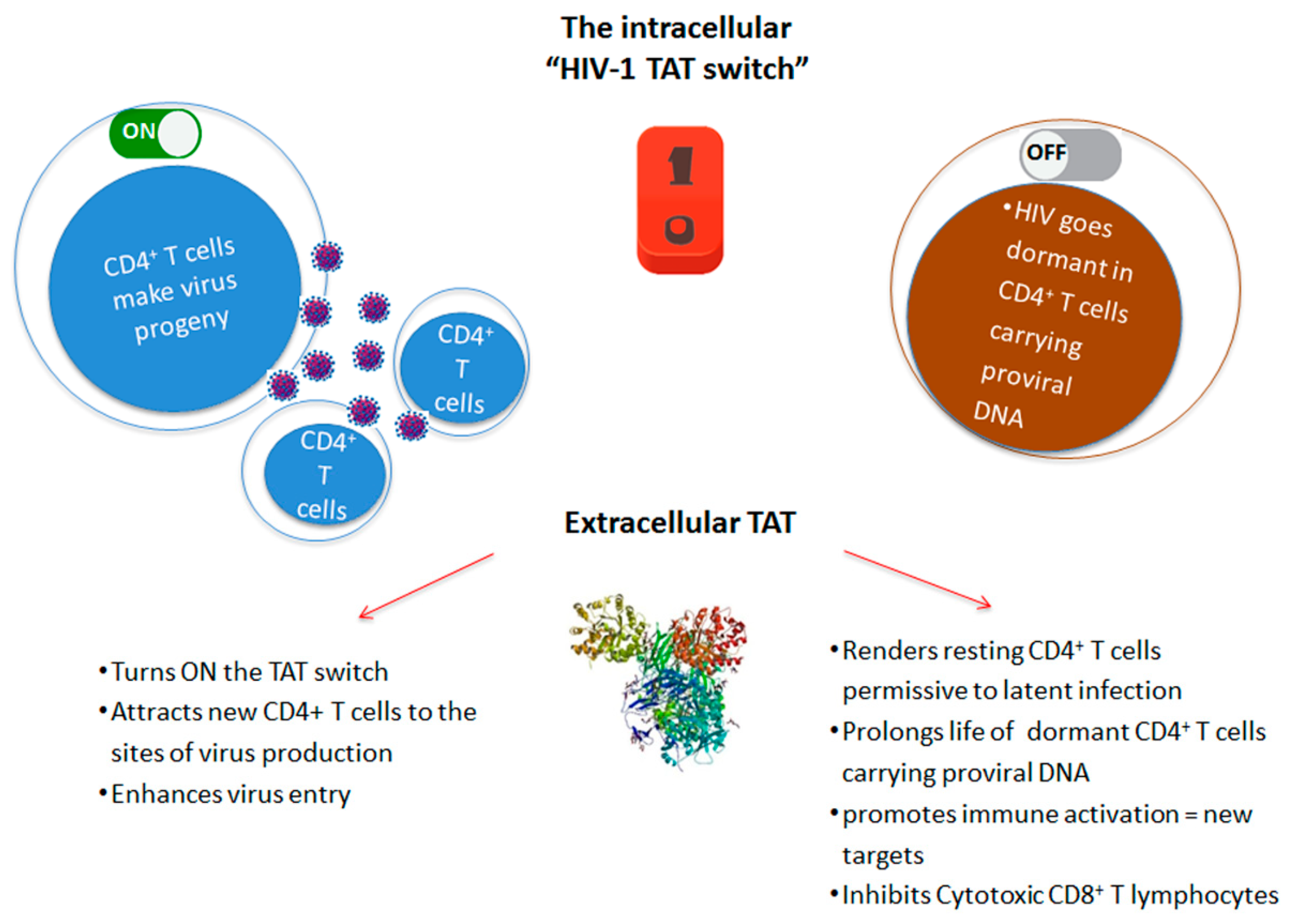 Vaccines 07 00099 g002 Vaccines 07 00099 g002