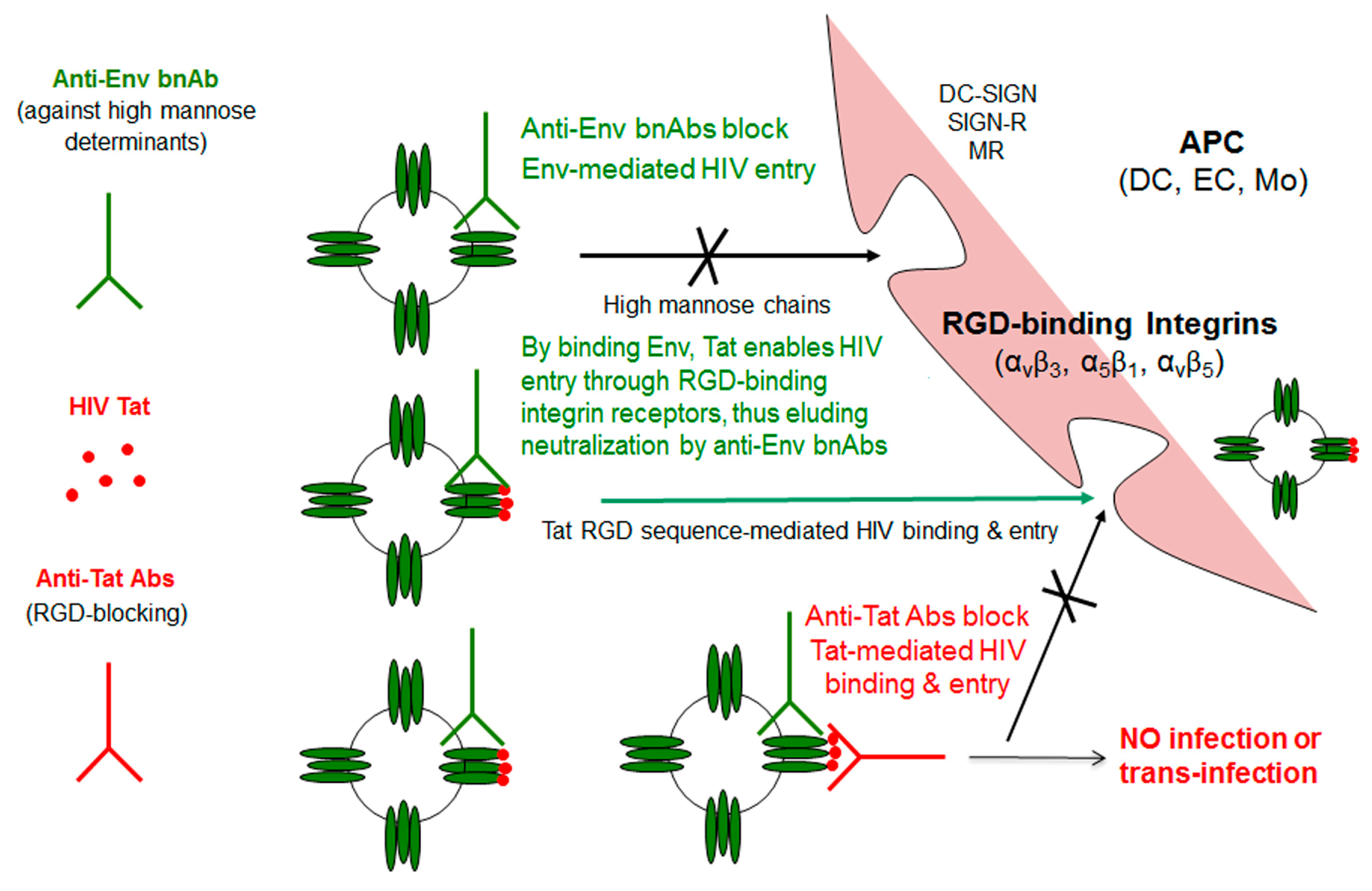 Vaccines 07 00099 g004 Vaccines 07 00099 g004