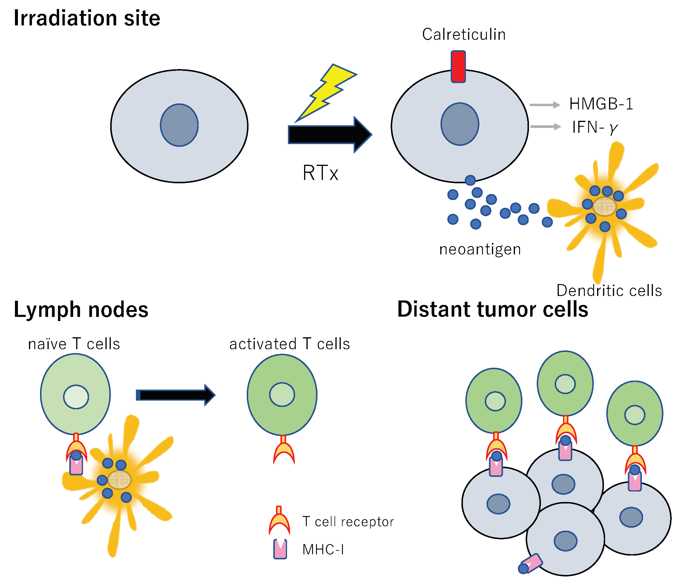 Vaccines 07 00100 g004