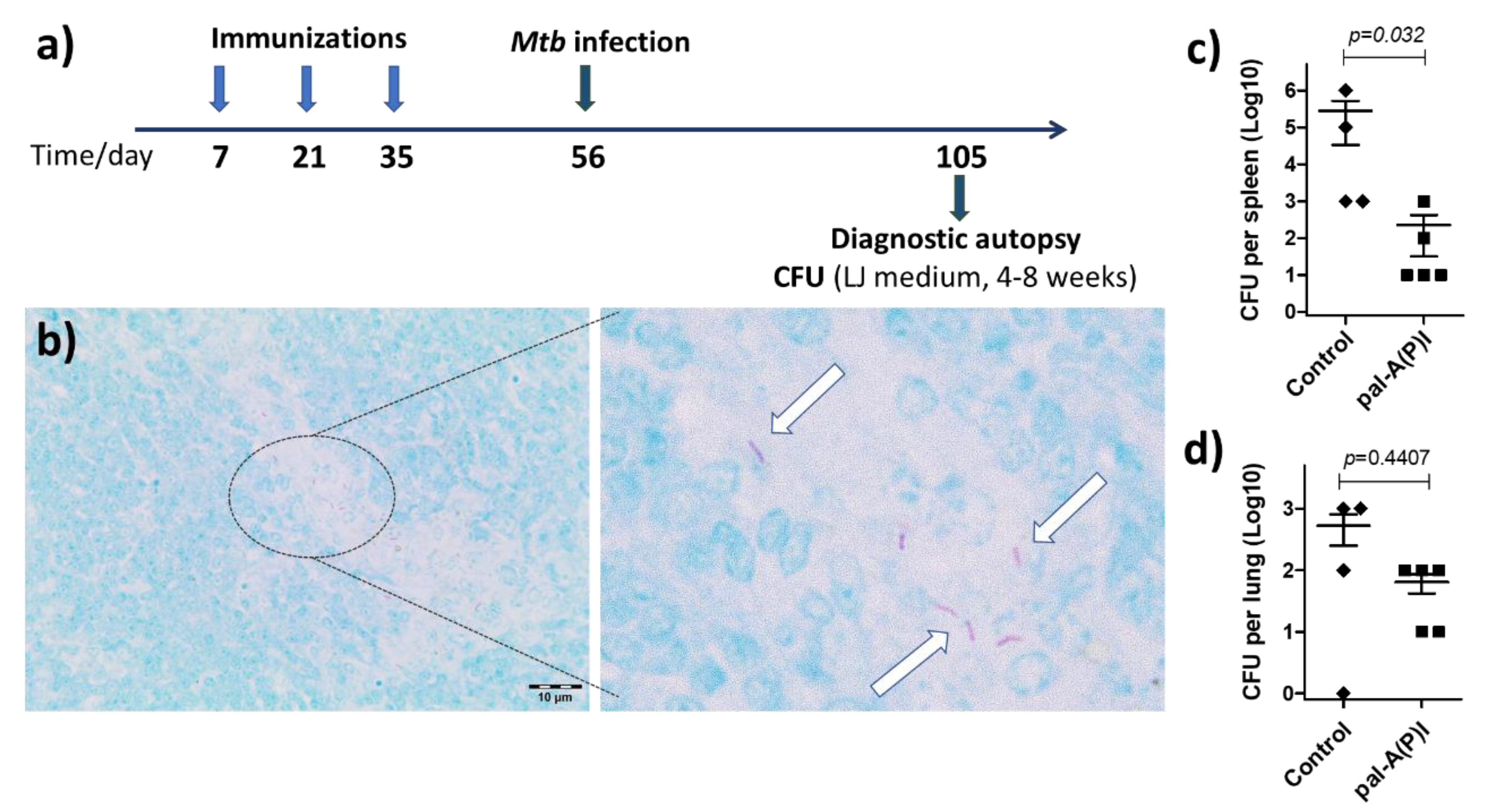 Vaccines 07 00101 g005
