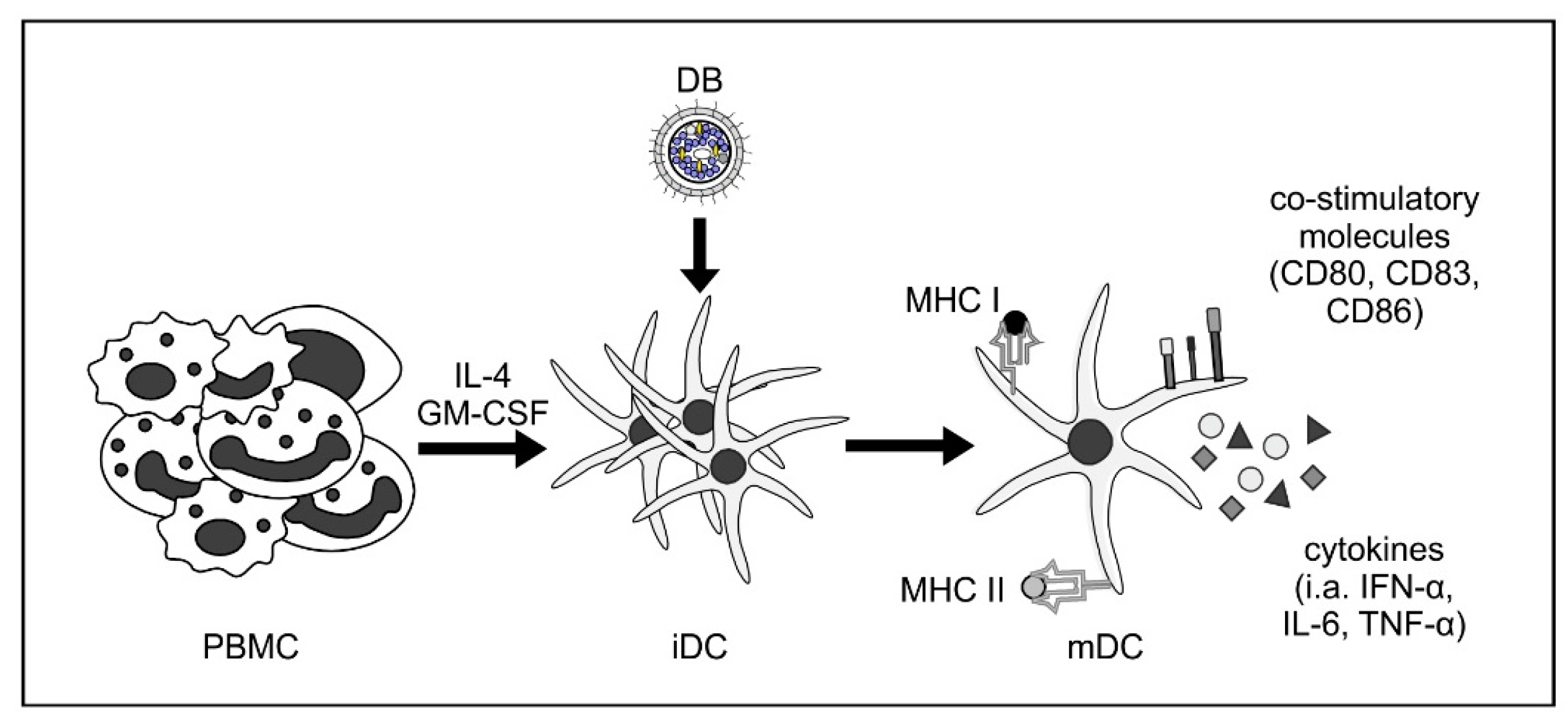 Vaccines 07 00104 g002