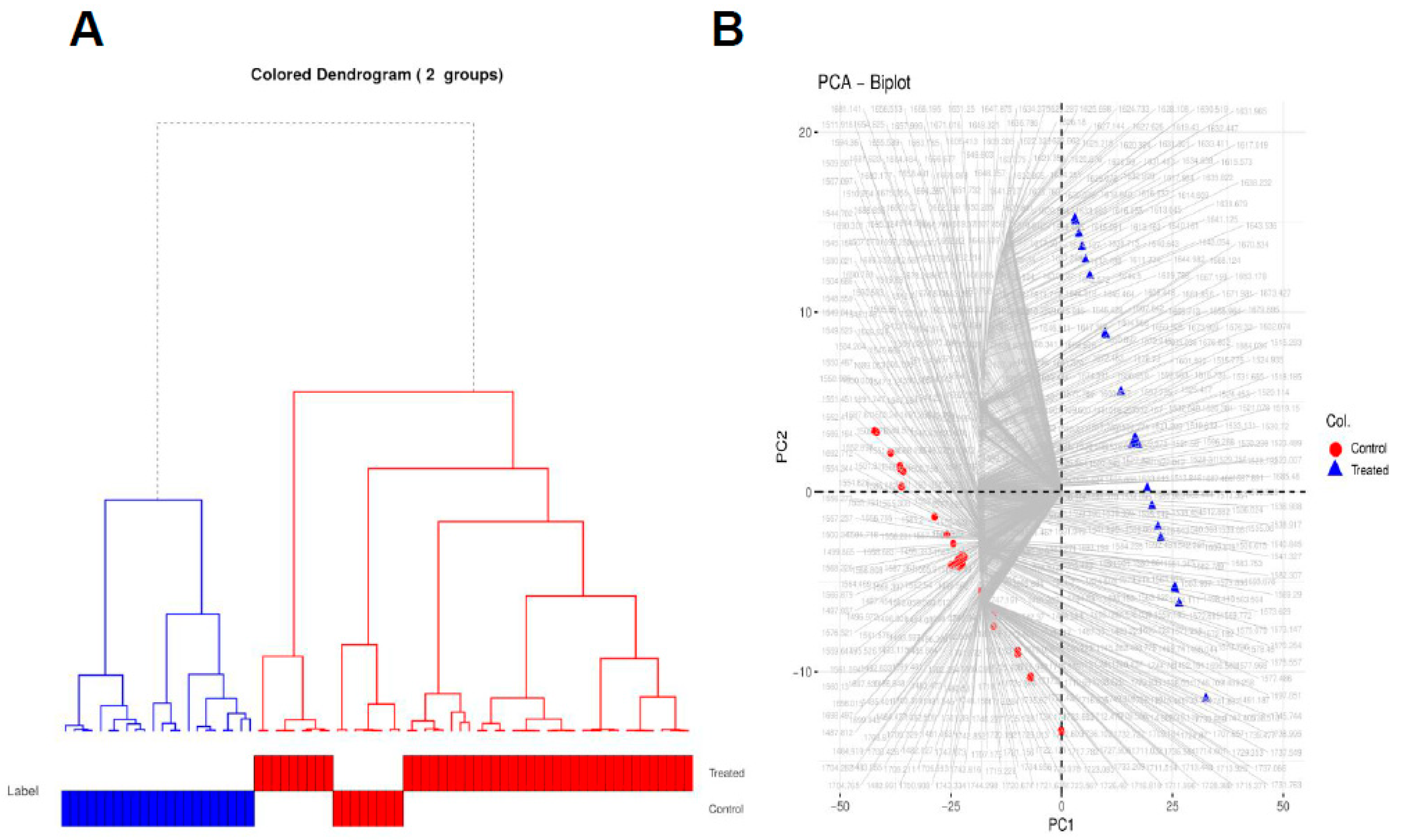 Vaccines 07 00109 g005