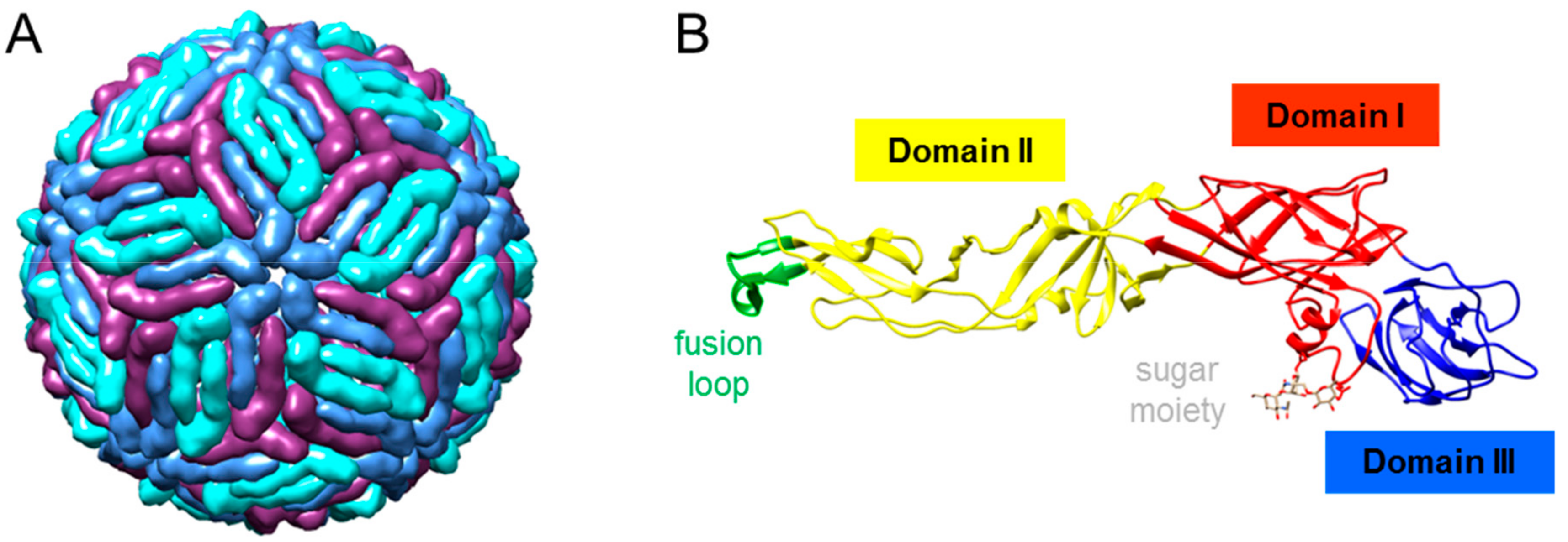 Vaccines 07 00126 g003