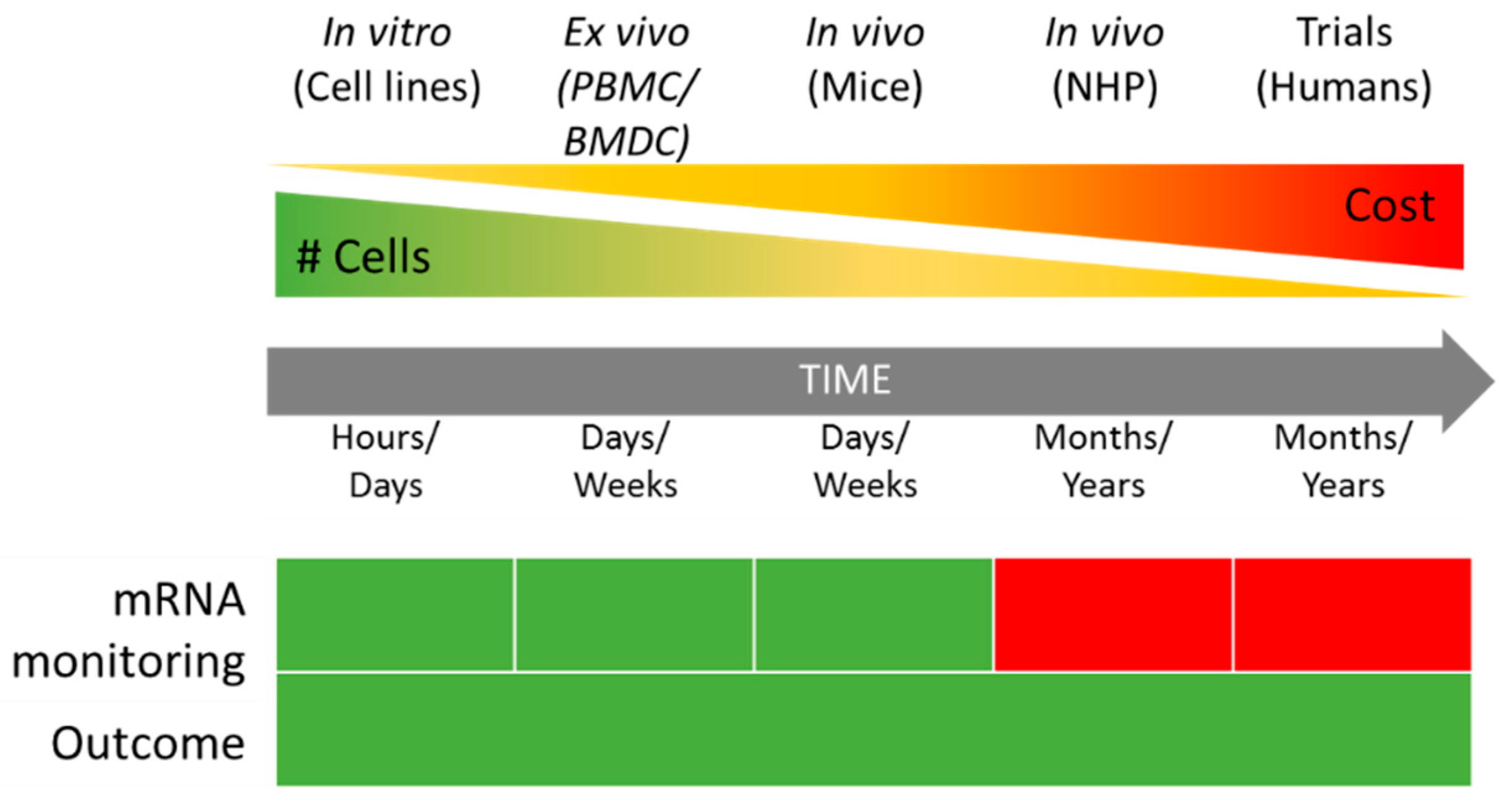 Vaccines 07 00131 g002