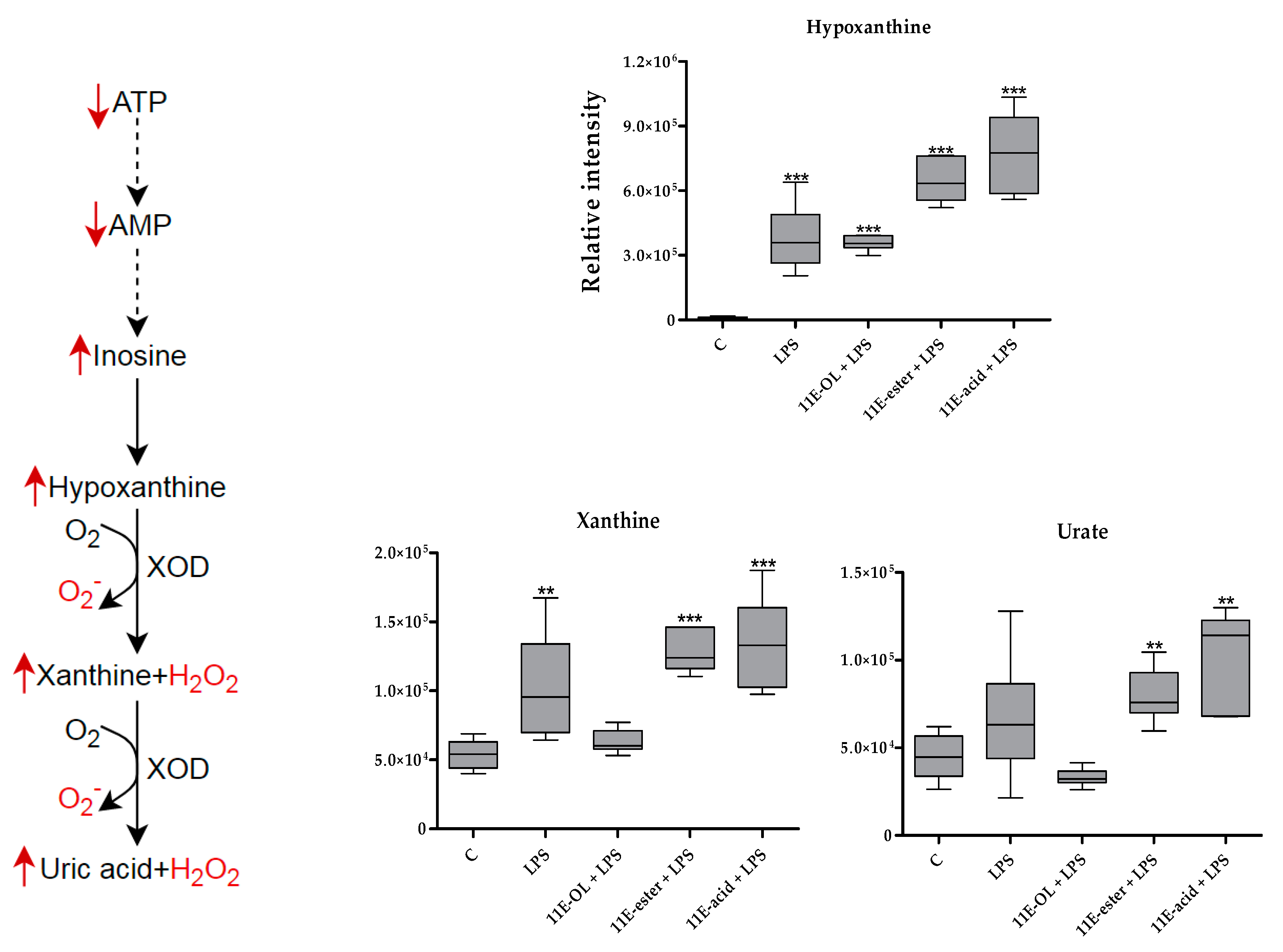 Vaccines 07 00142 g010 Vaccines 07 00142 g010