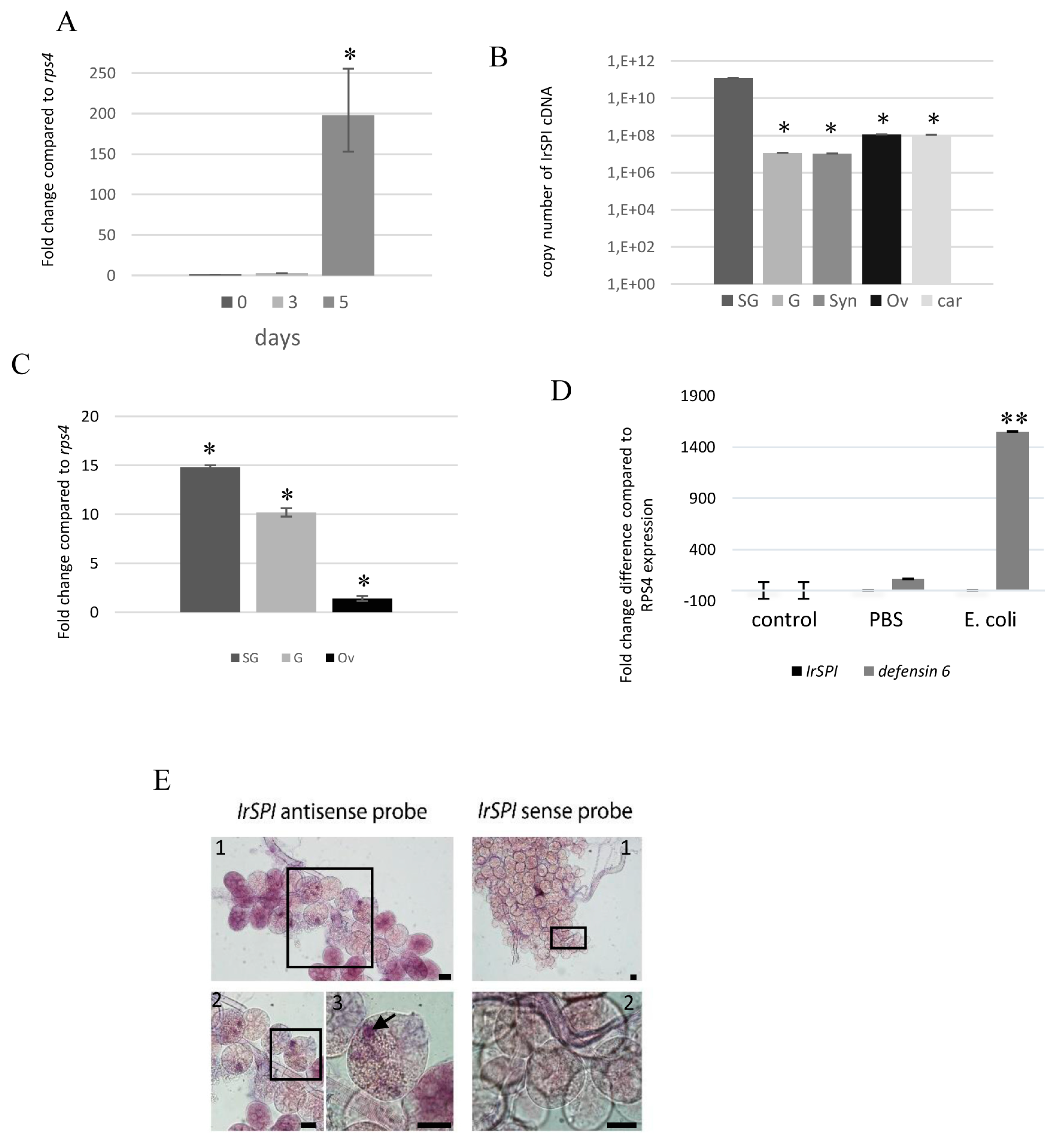 Vaccines 07 00148 g003