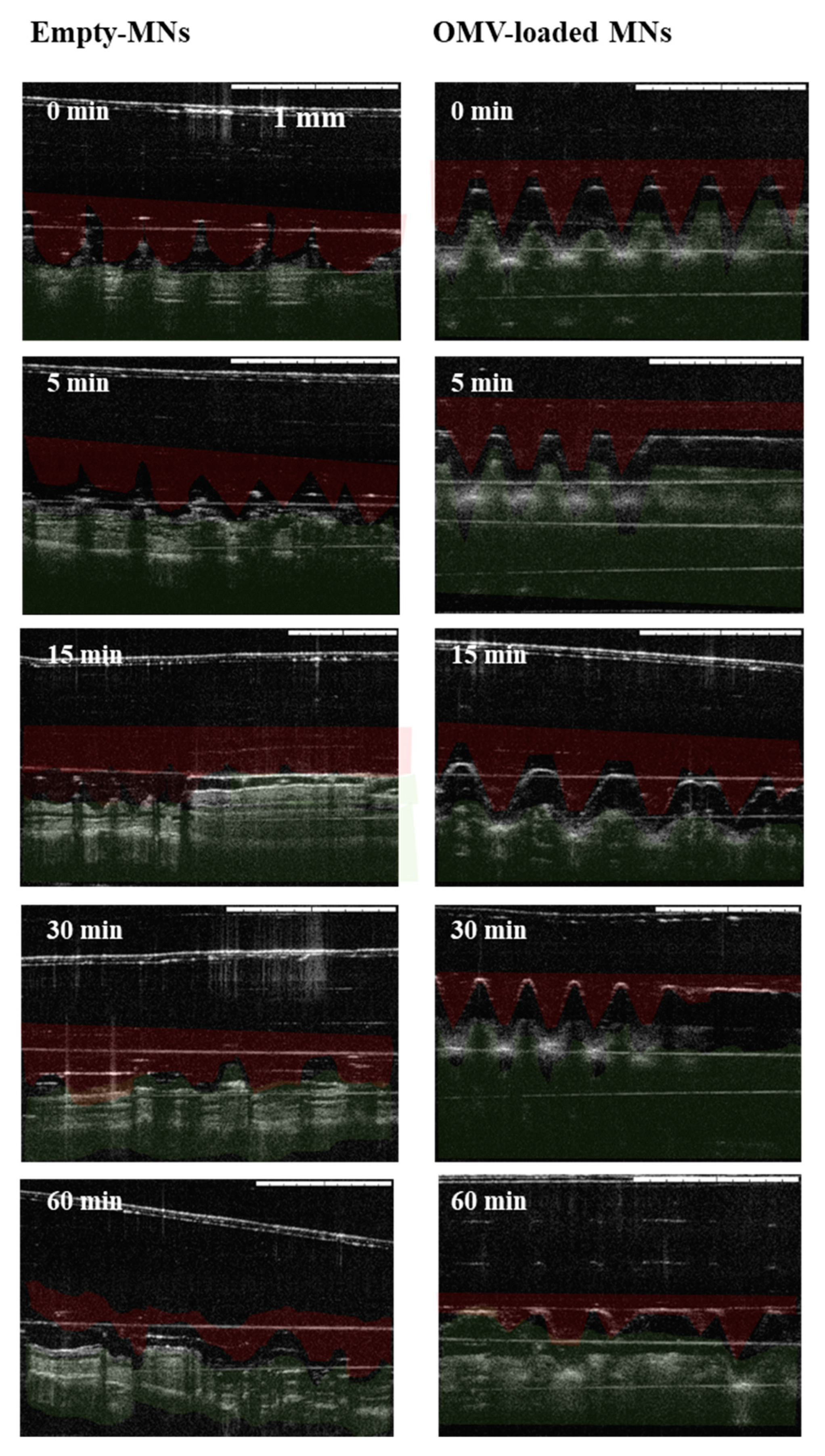 Vaccines 07 00159 g004