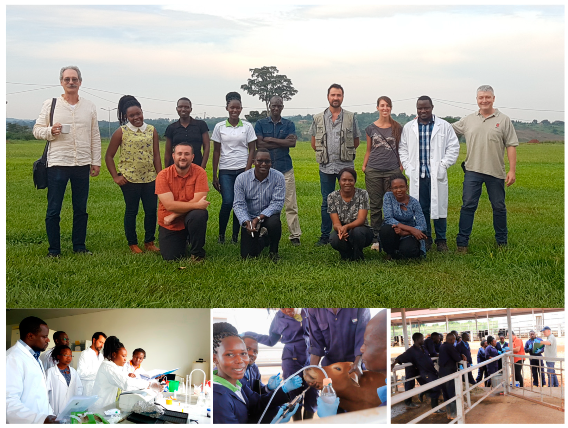 Vaccines 07 00165 g002