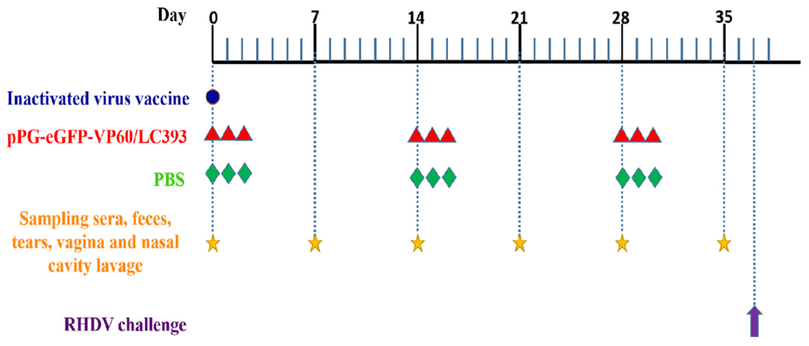 Vaccines 07 00172 g002