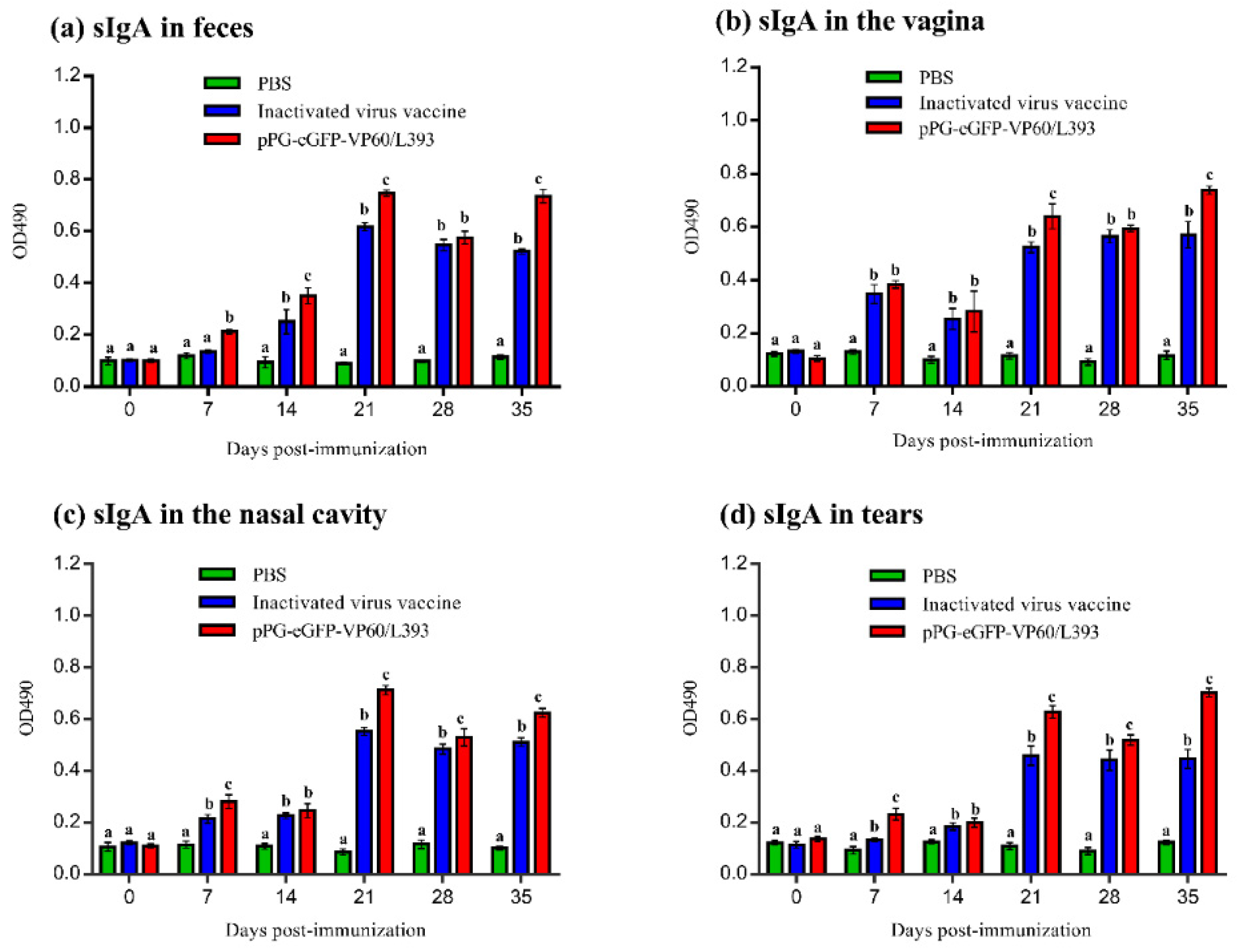 Vaccines 07 00172 g006