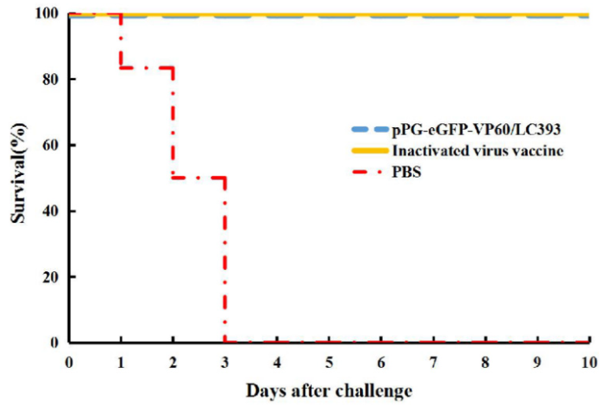 Vaccines 07 00172 g007