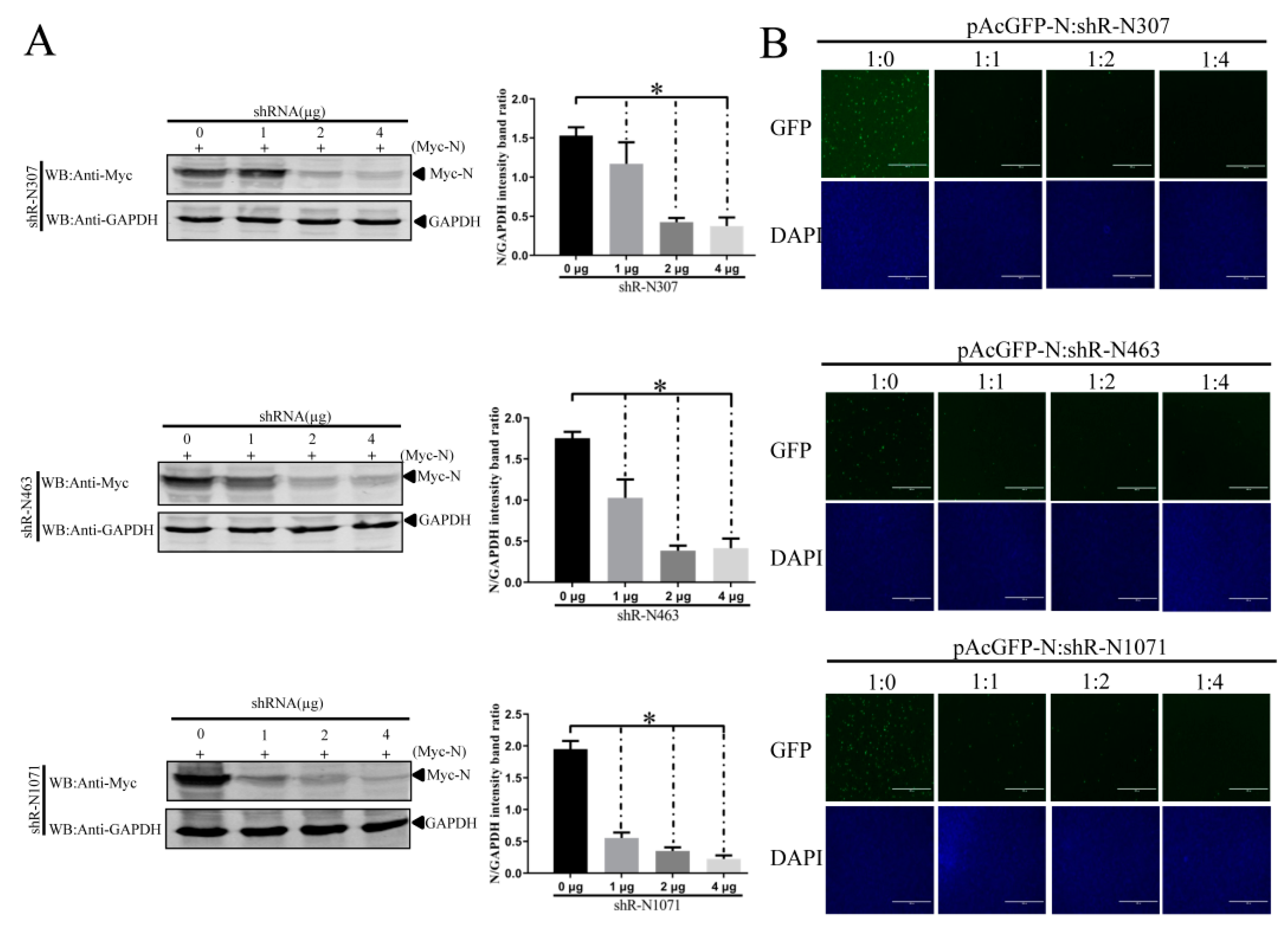 Vaccines 07 00173 g004