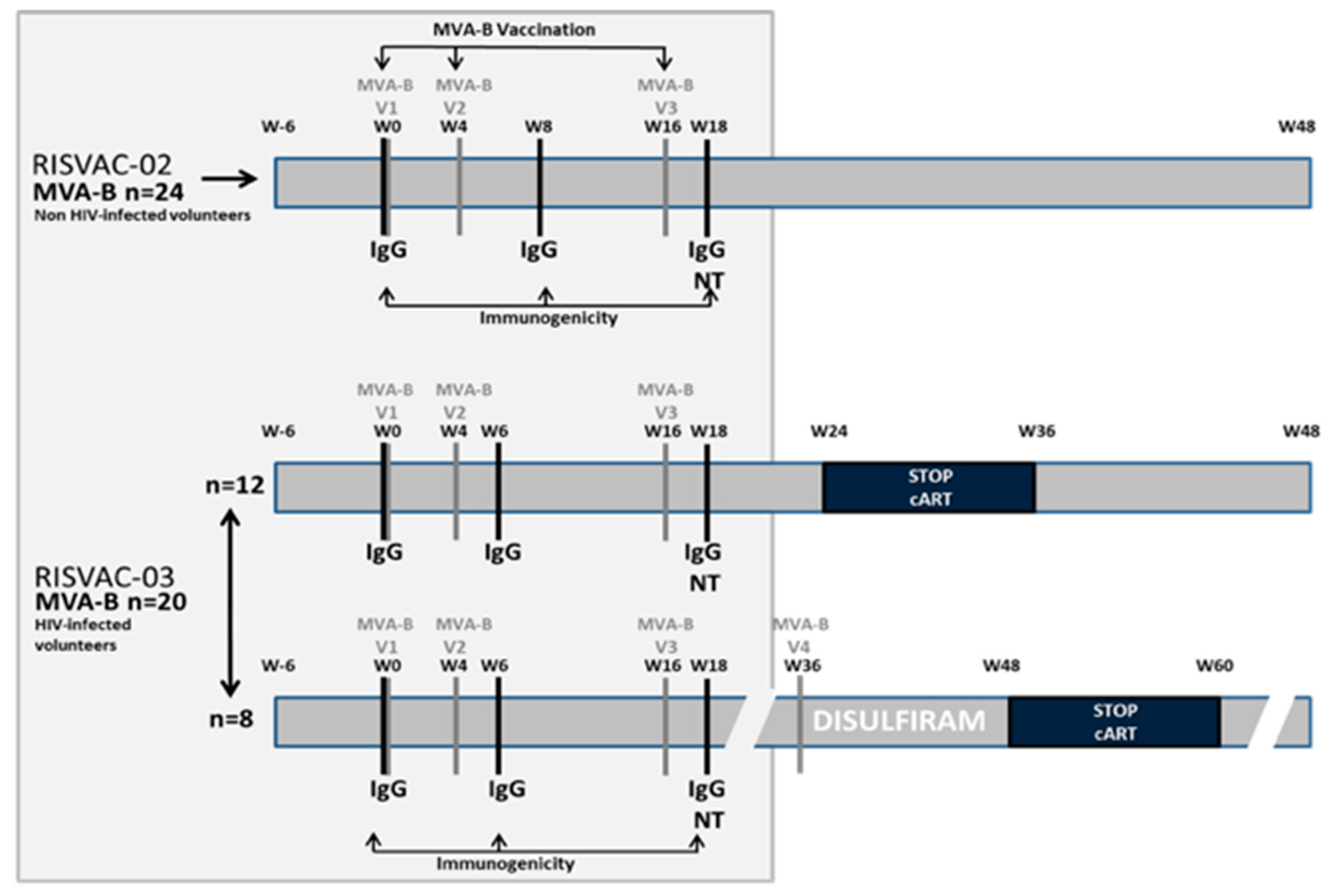 Vaccines 07 00178 g001