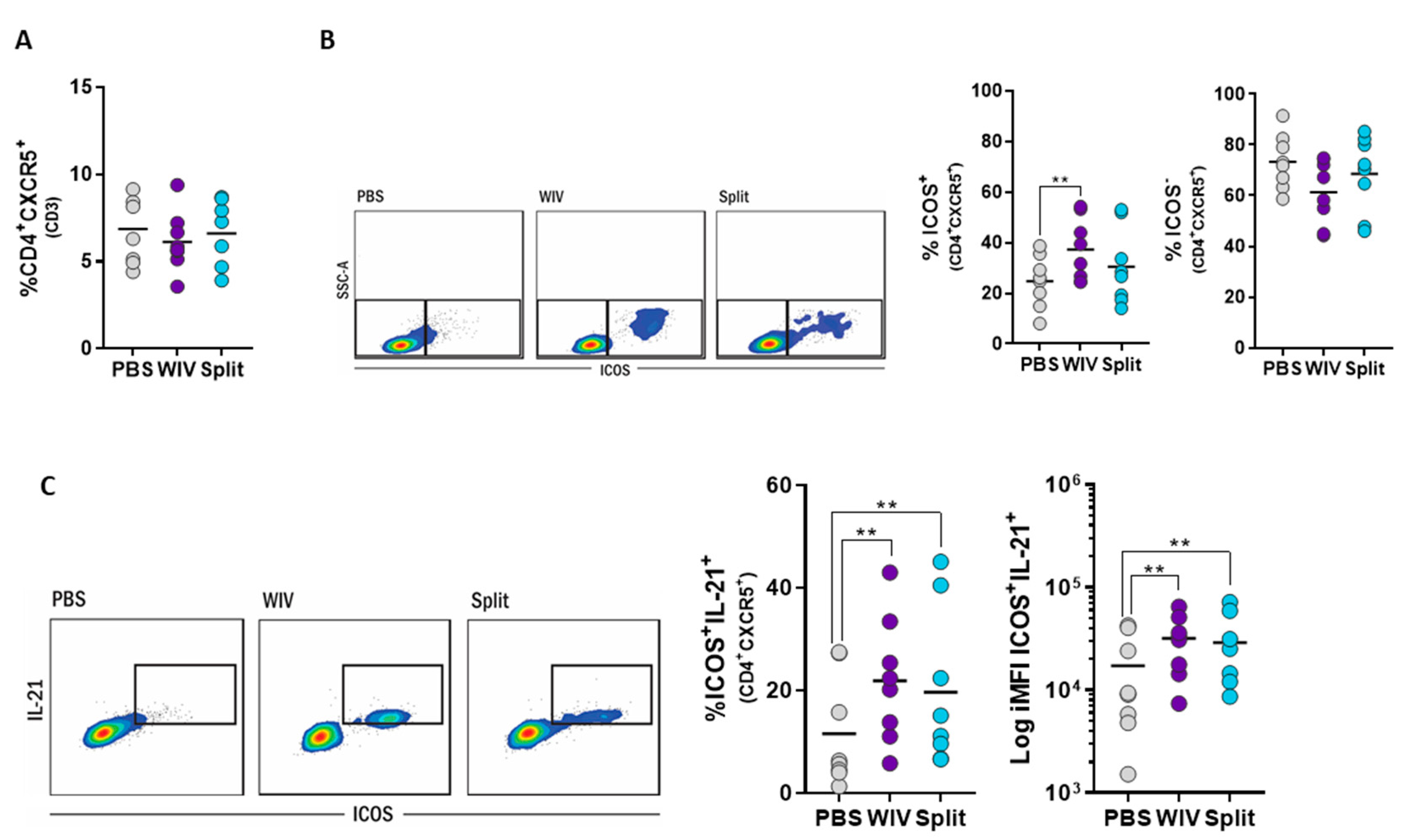 Vaccines 07 00181 g005