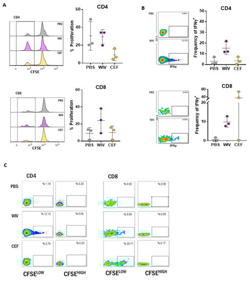 Vaccines 07 00181 g0a2