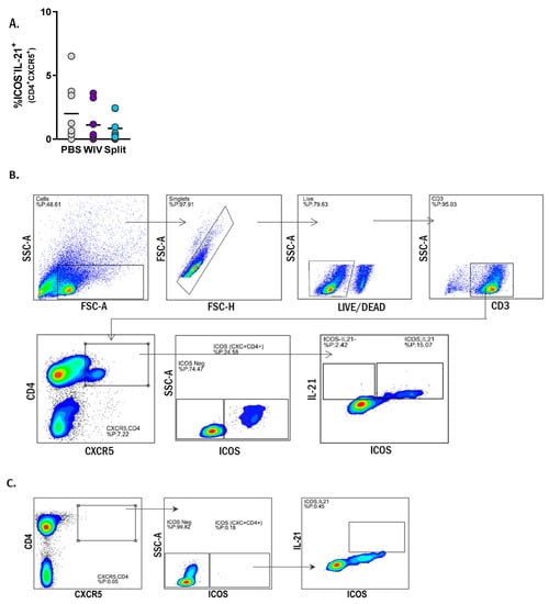 Vaccines 07 00181 g0a4