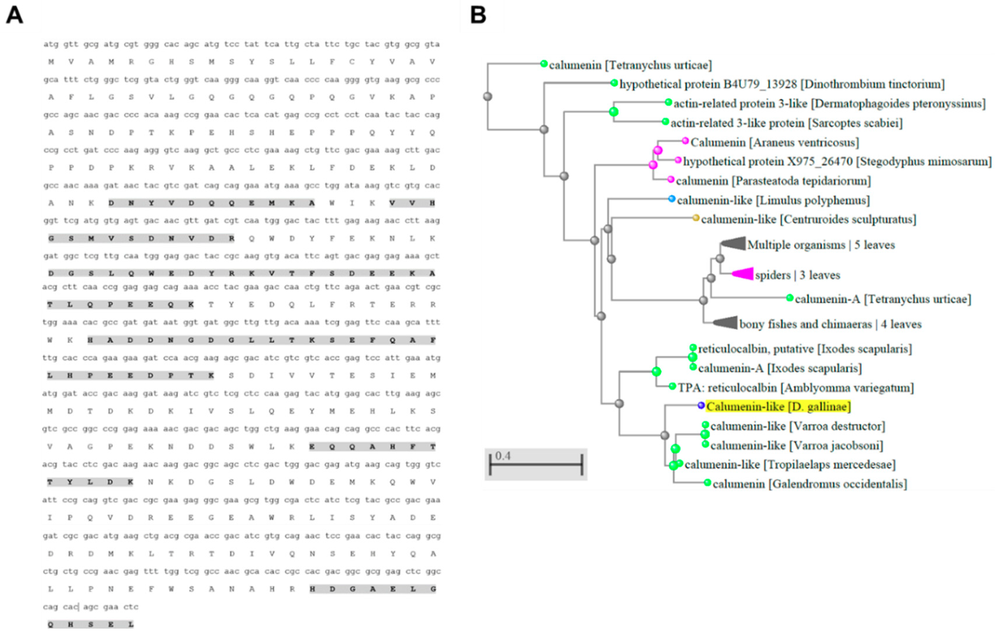 Vaccines 07 00190 g006