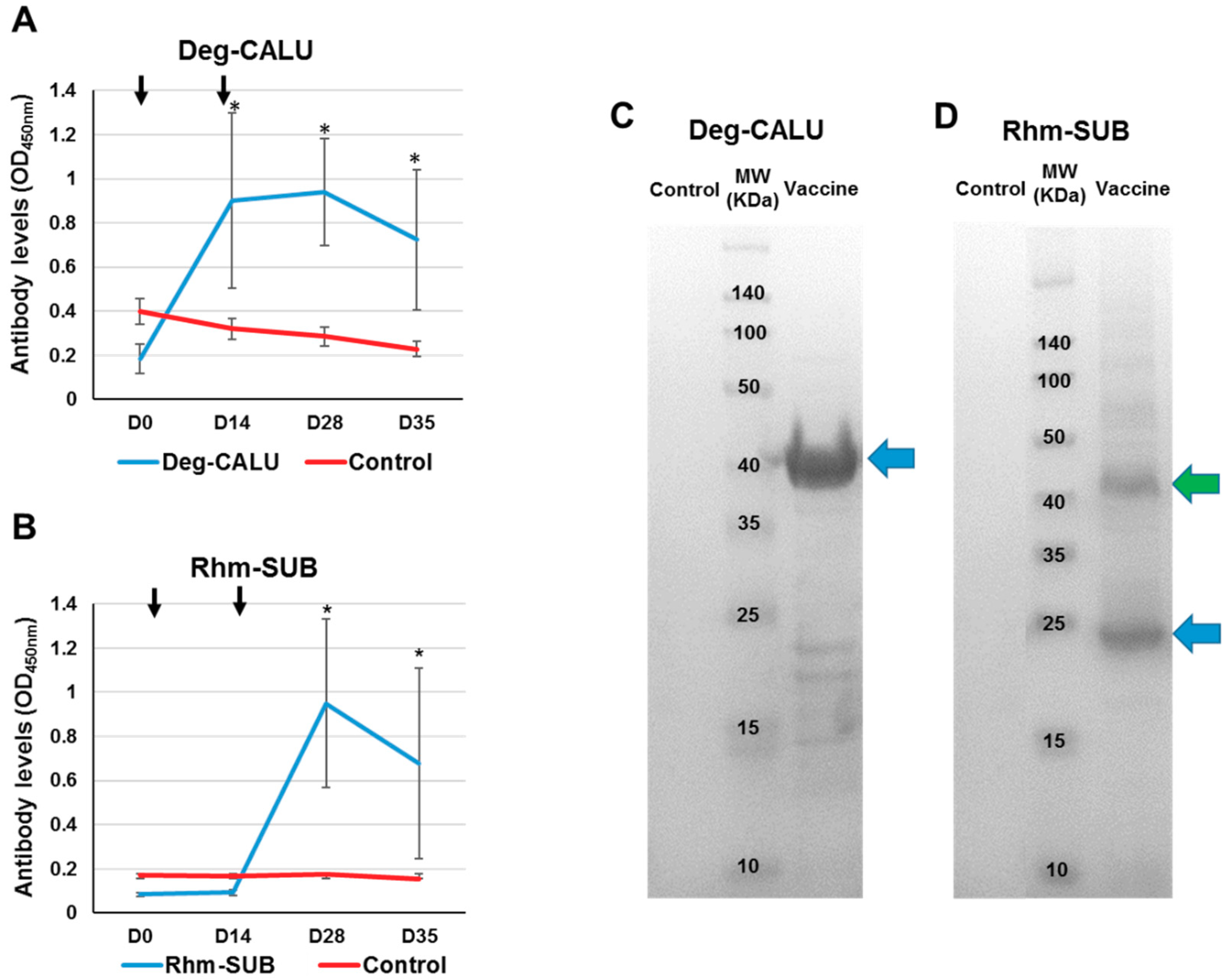 Vaccines 07 00190 g007