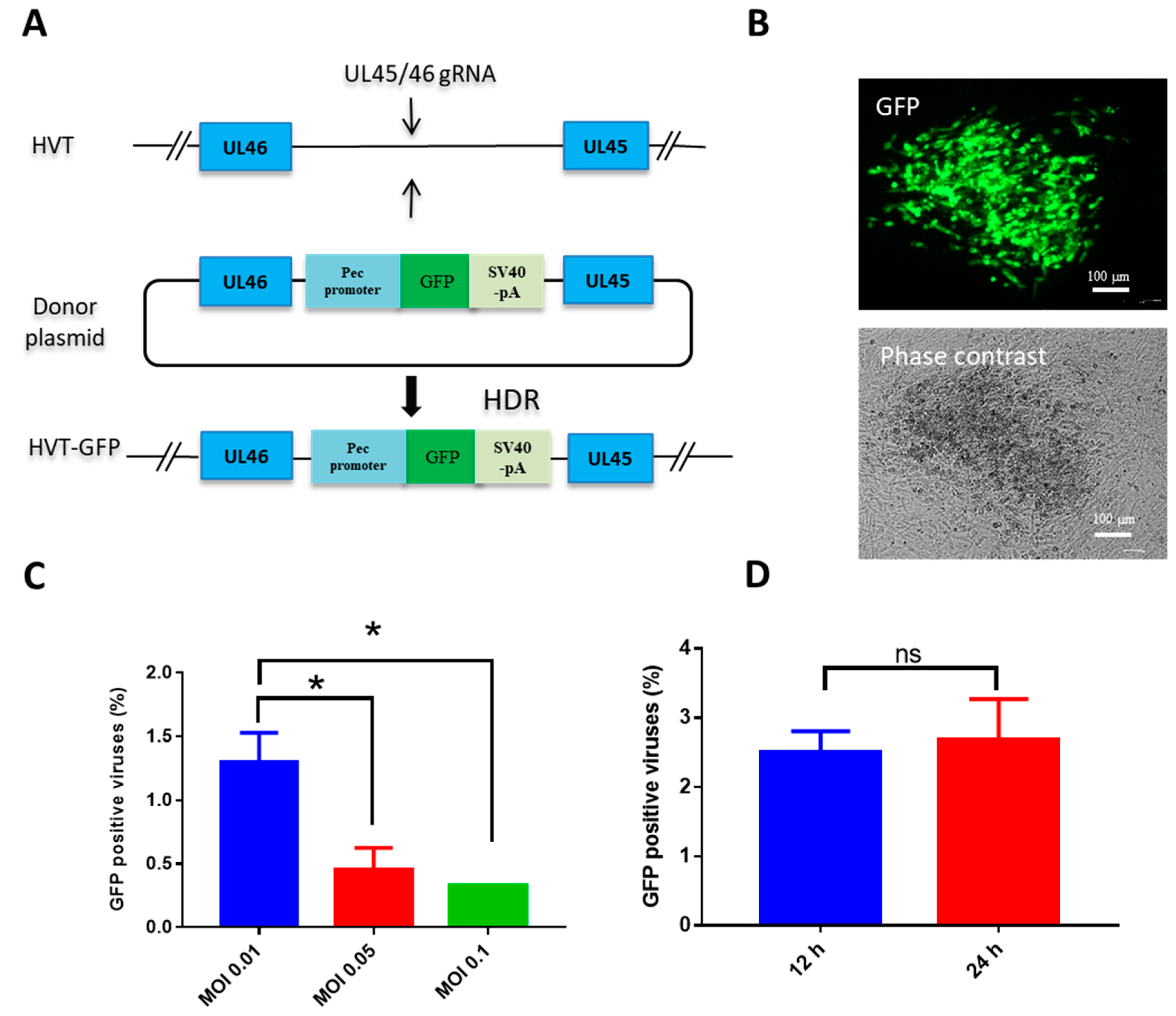 Vaccines 07 00192 g001